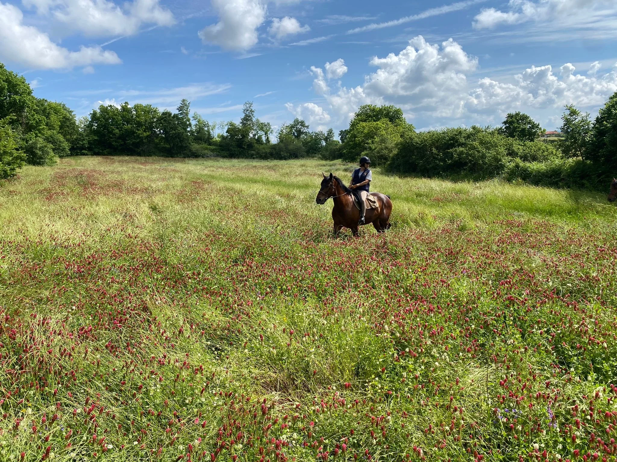 Italy castle estate ride World on Horseback22.jpg