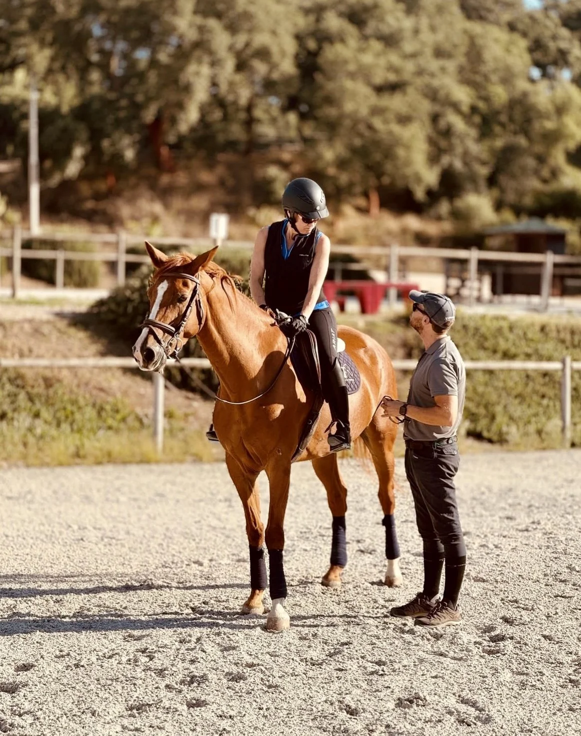 Working equitation class with a chestnut Lusitano horse, in an arena at the equestrian barn in Santarém, Portugal