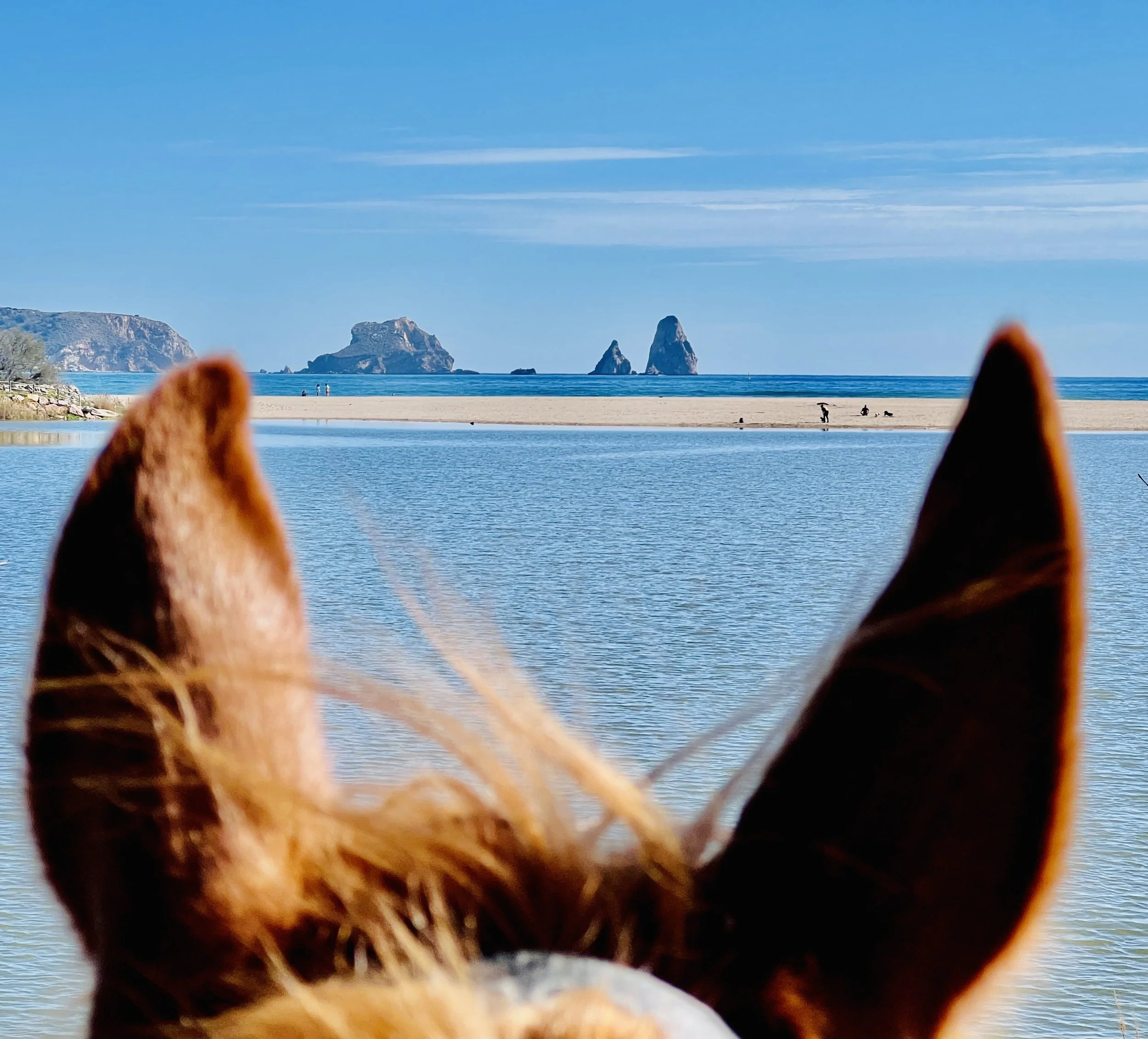 Mediterranean Trail Catalonia World on Horseback11.jpg