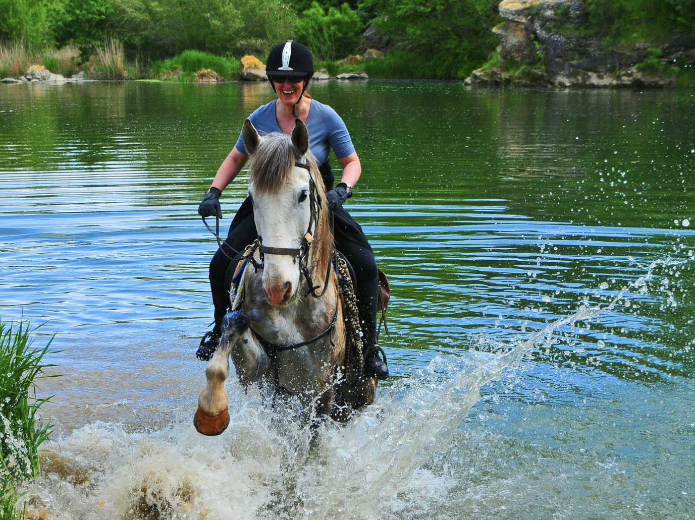 Mediterranean Trail horses3.png