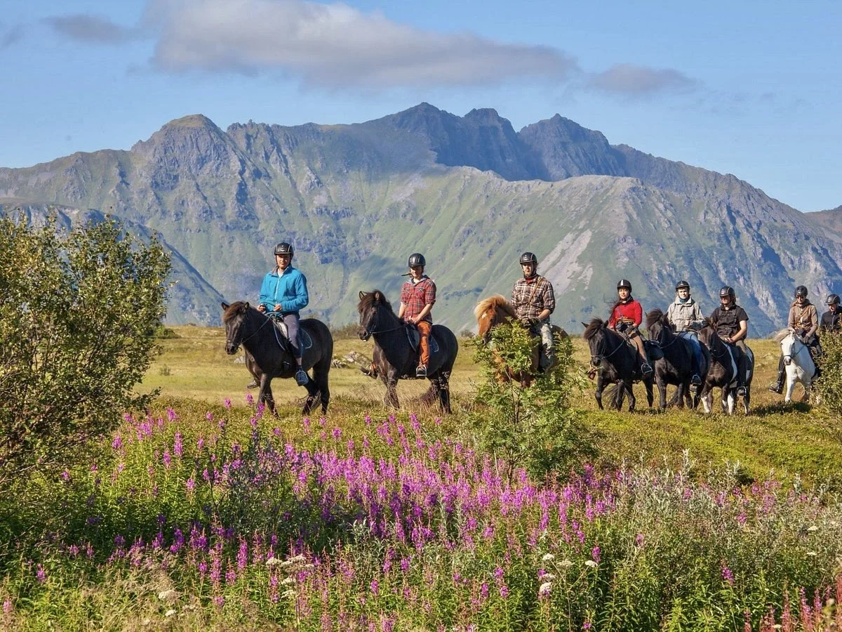 DAY 5- mountains of lofoten.jpg