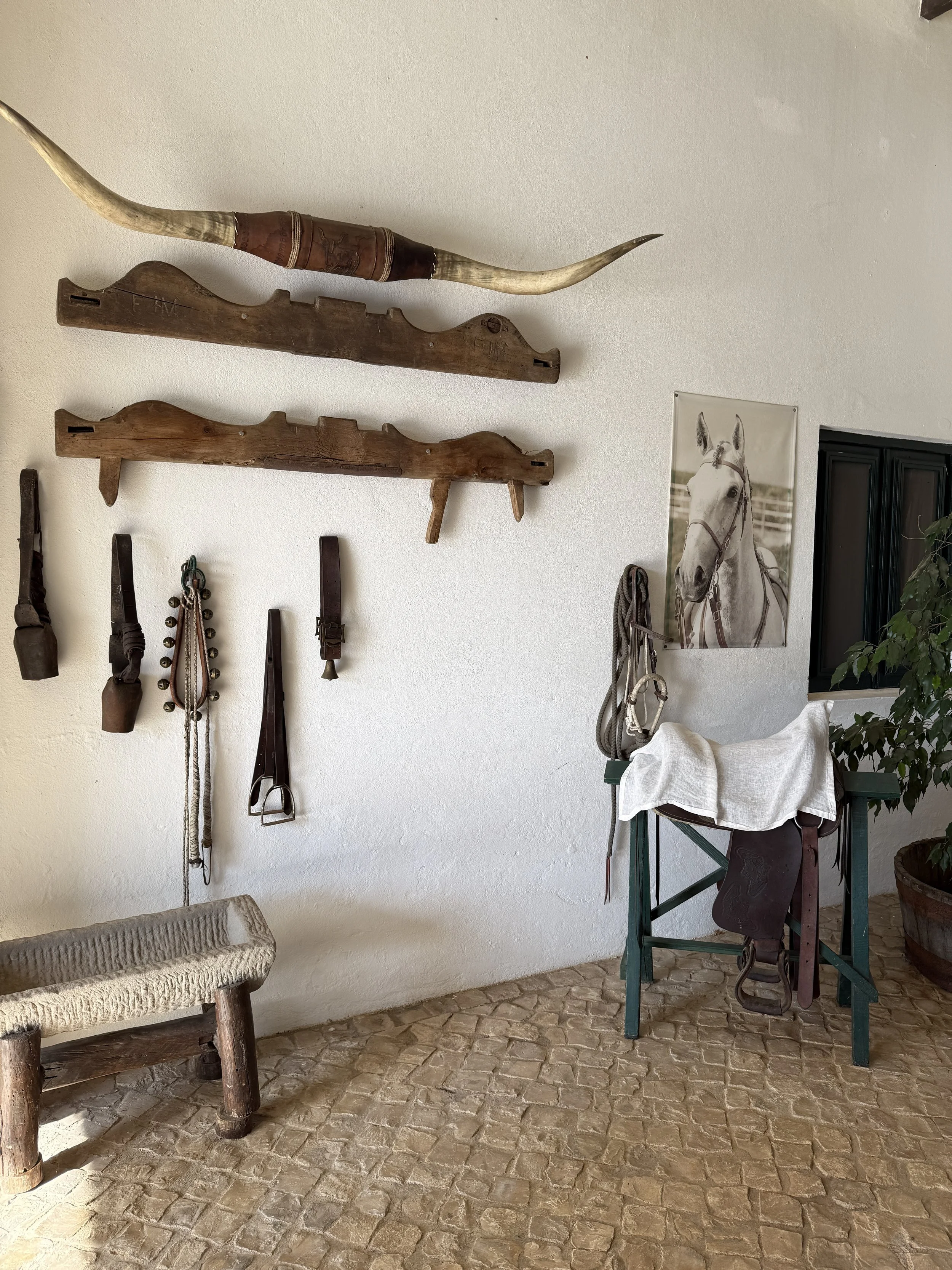 luxury dressage quinta portugal19.JPG