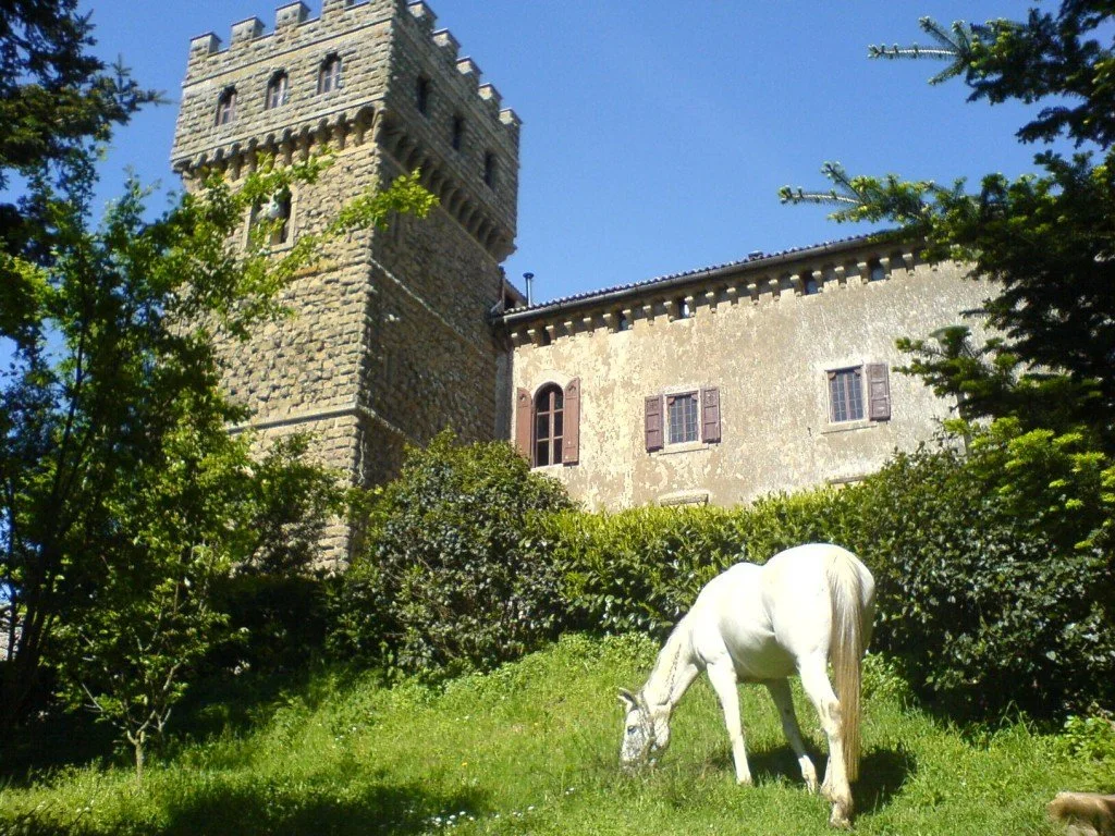 A white horse is grazing in a green garden with a medieval castle in the background. 