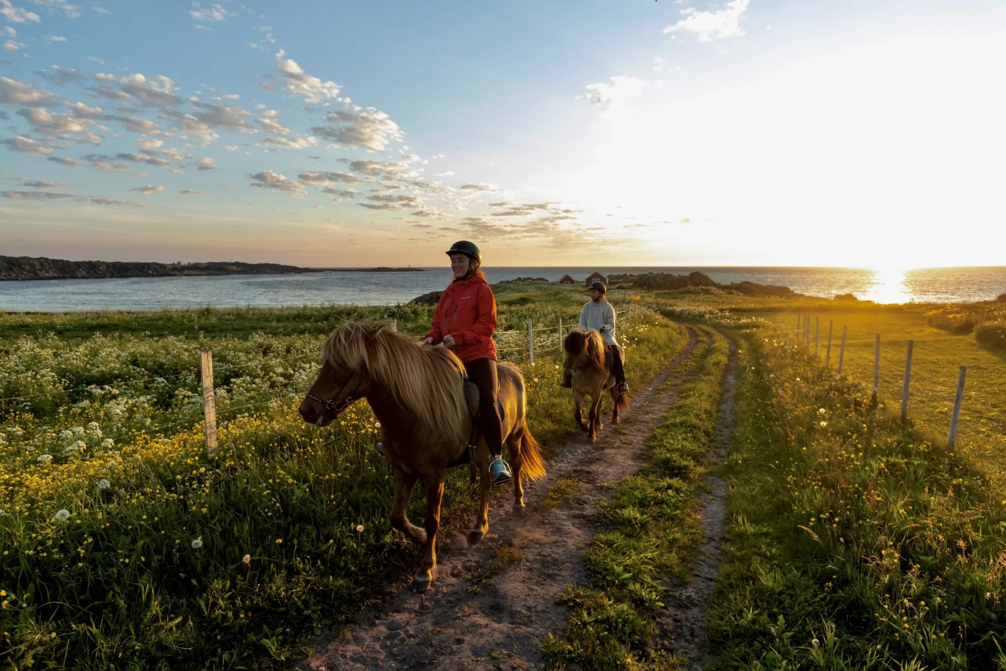 DAY 2- Classic tour lofoten horseriding.jpg