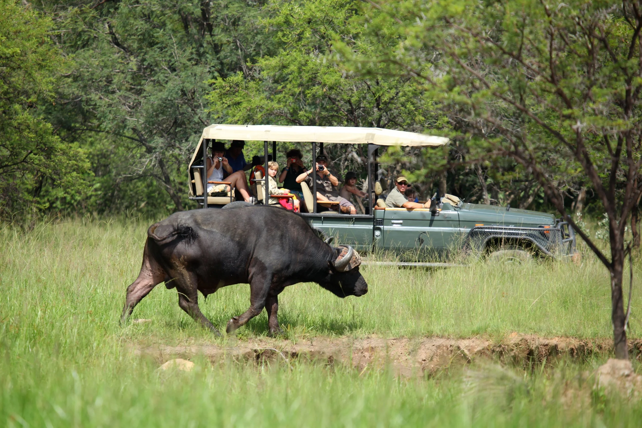 south africa horse safari31.JPG