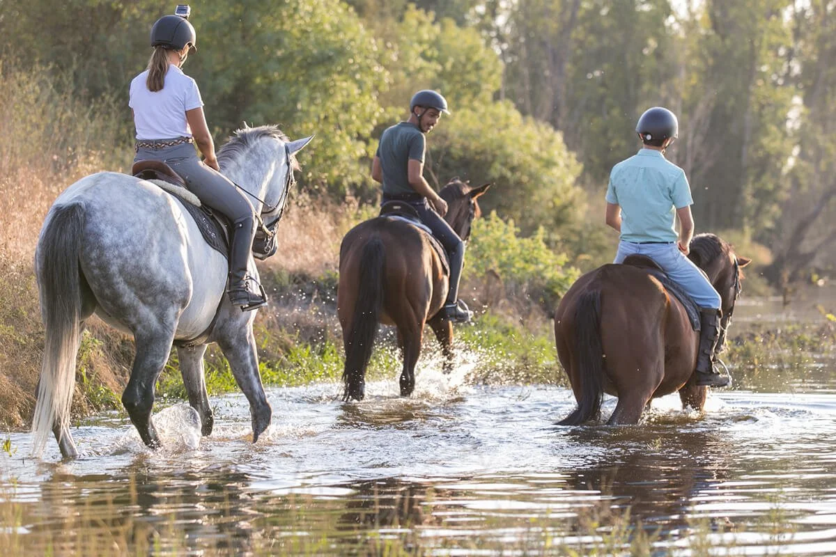 Group of riders walking in a river with  Lusitano horses in Santarém, Portugal