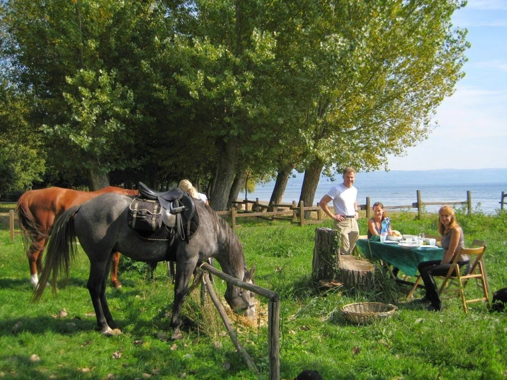 Two horses eating hay while 3 people are sitting at a picnic table next to a lake in Italy.