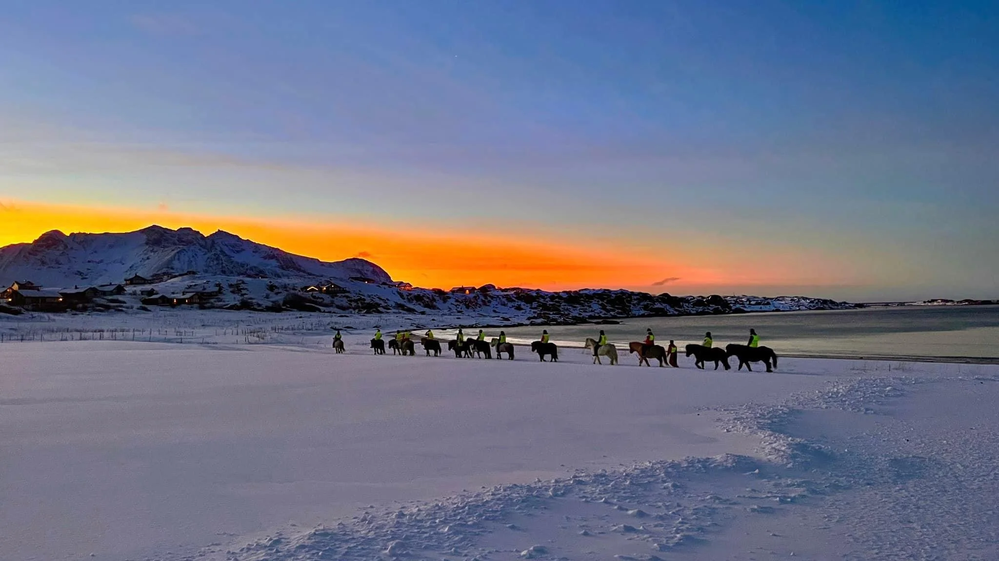 Horses-winter-sunset- Snowfun and northern lights.jpg
