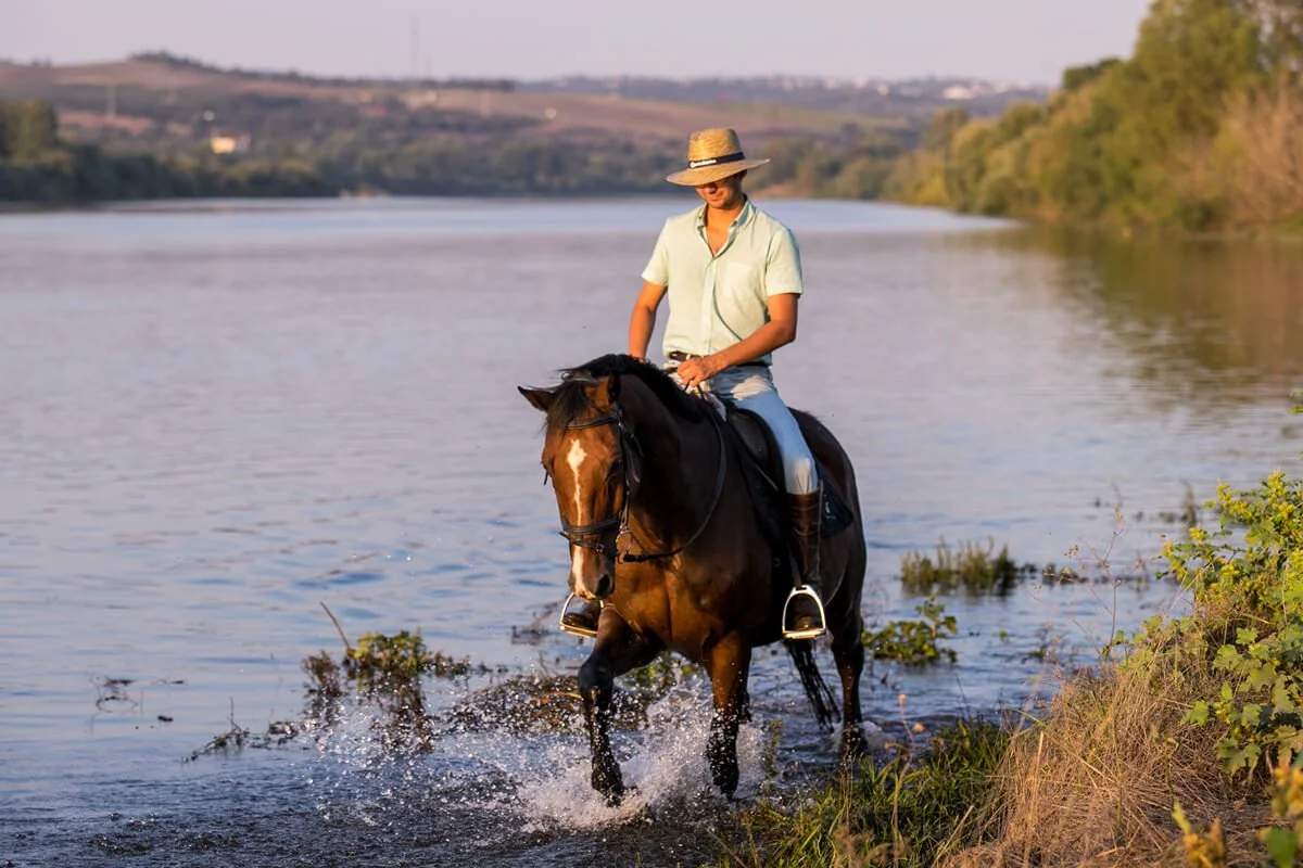 Man trail riding with a bay Lusitano horse, walking in a river in Santarém, Portugal