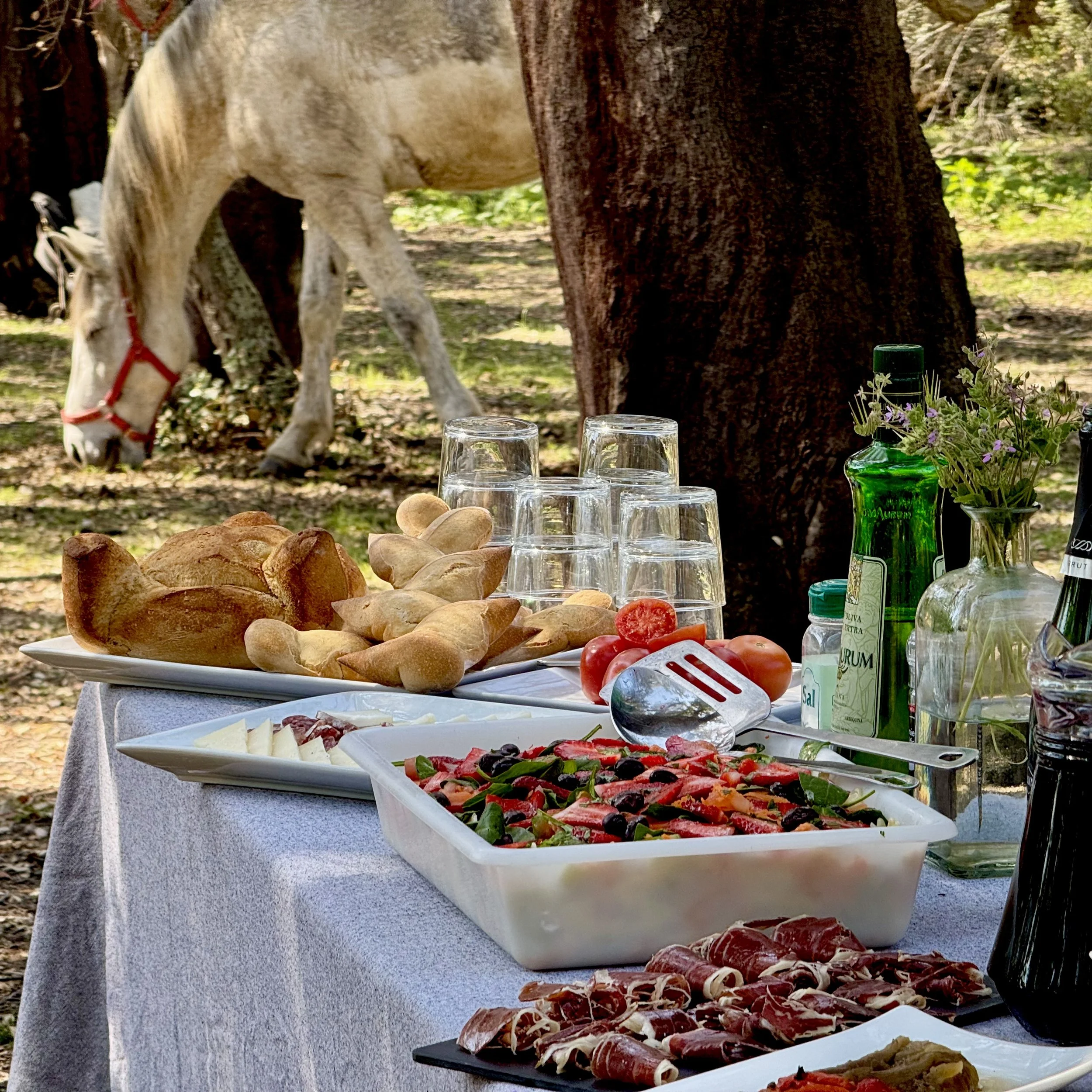 Horizon Trail Catalonia World on Horseback10.JPG