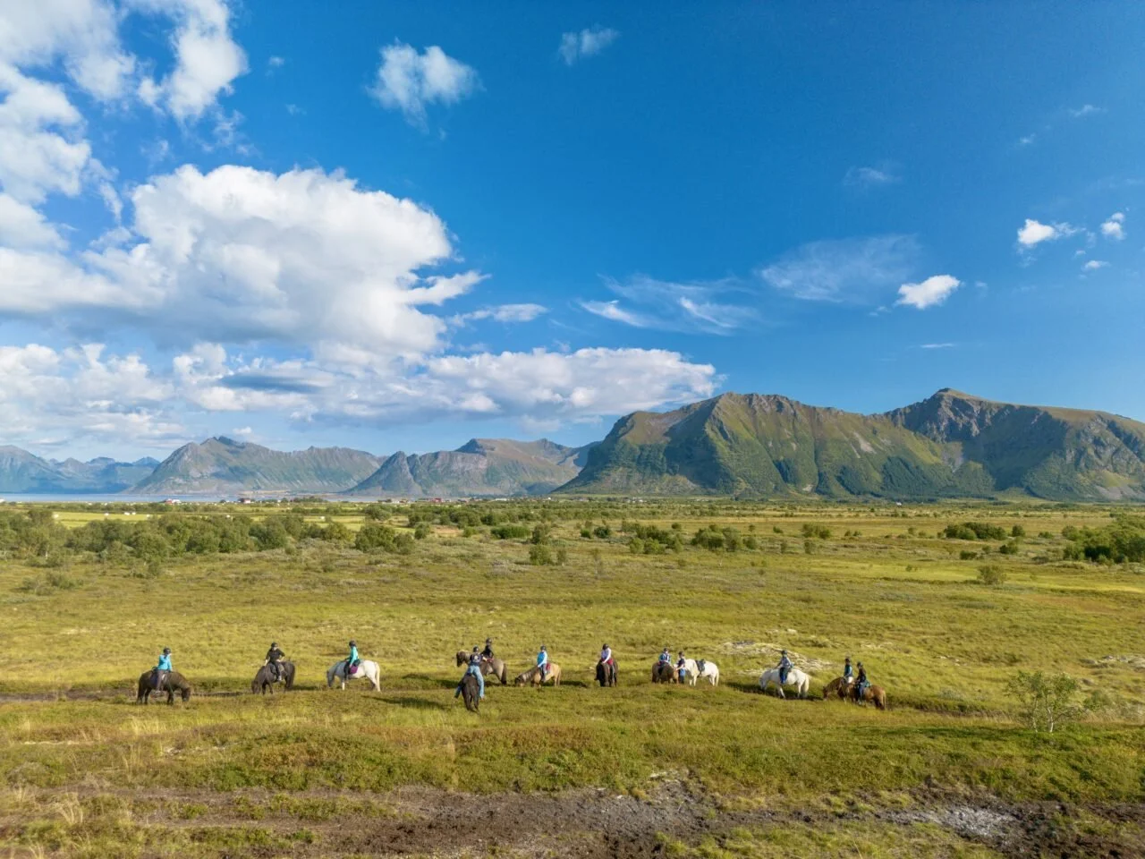 DAY 5- Classic tour lofoten horseriding.jpg