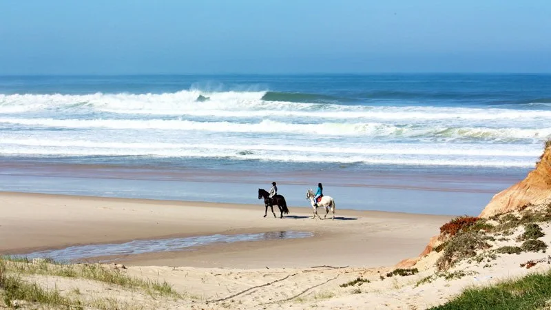 portugal lourinha World on Horseback9.jpg