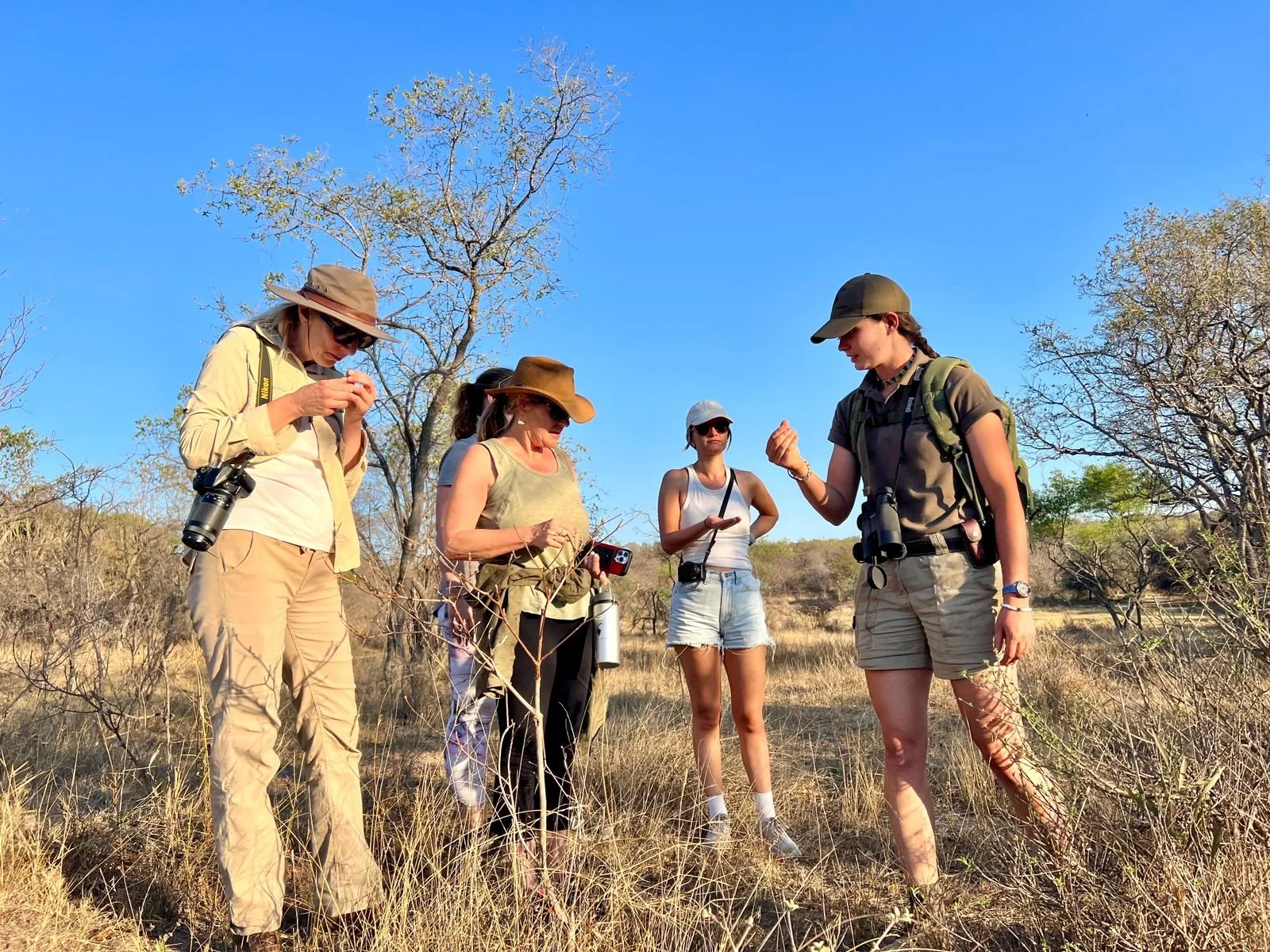 south africa horse safari48.jpg