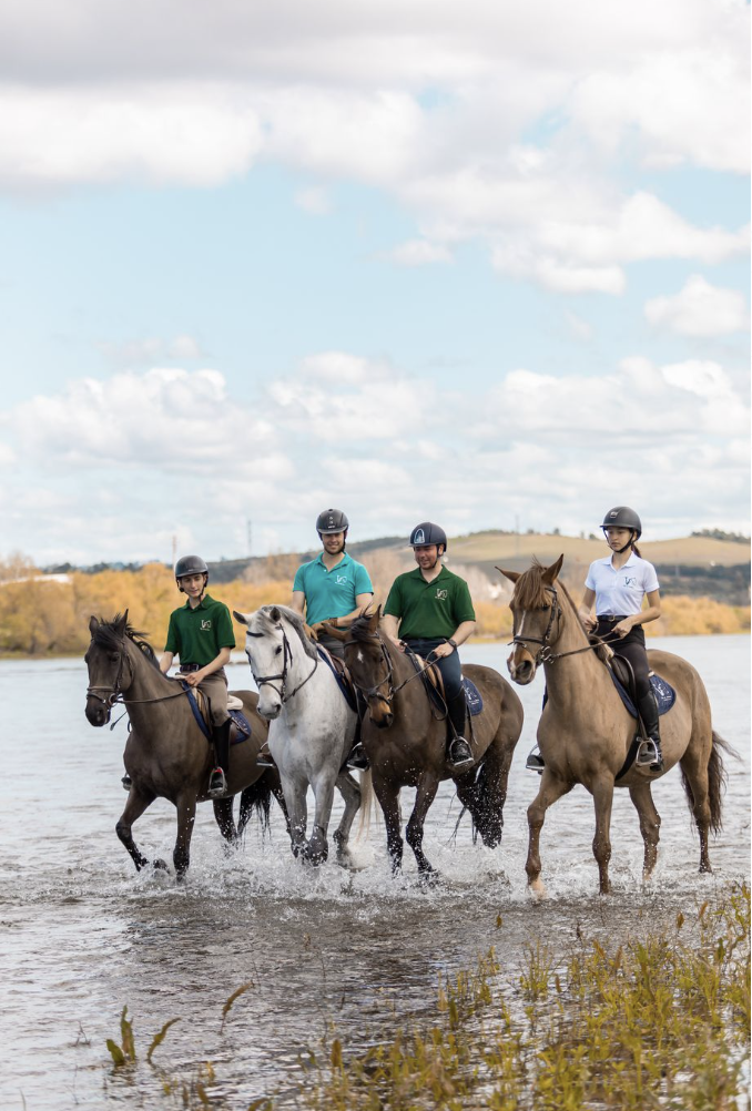Group of riders riding Lusitano horses on the beach in Portugal