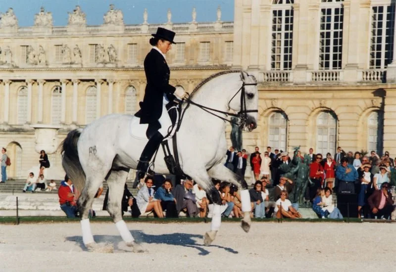 Dressage horse riding holidays in Provence