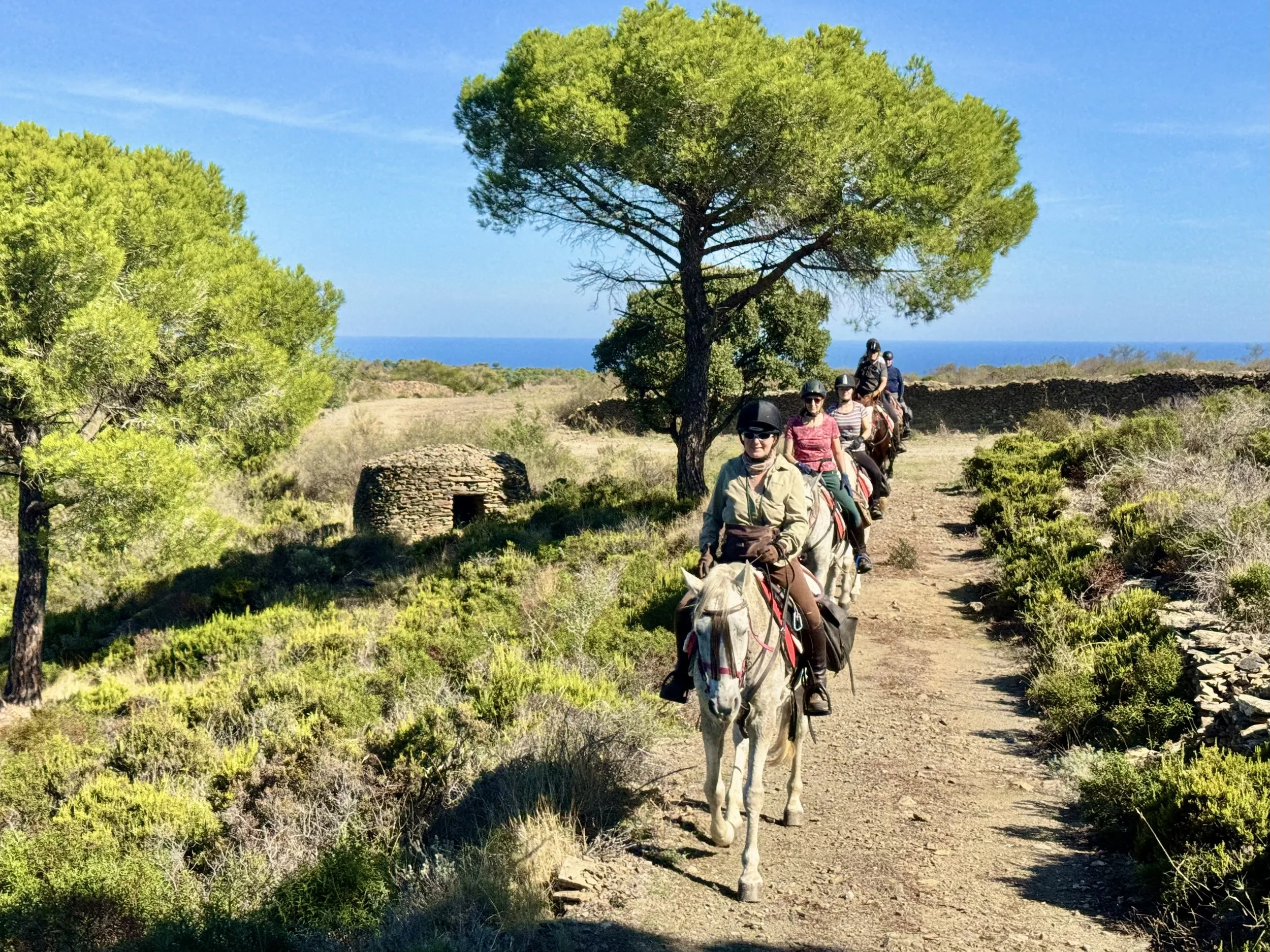 Horizon Trail Catalonia World on Horseback20.JPG