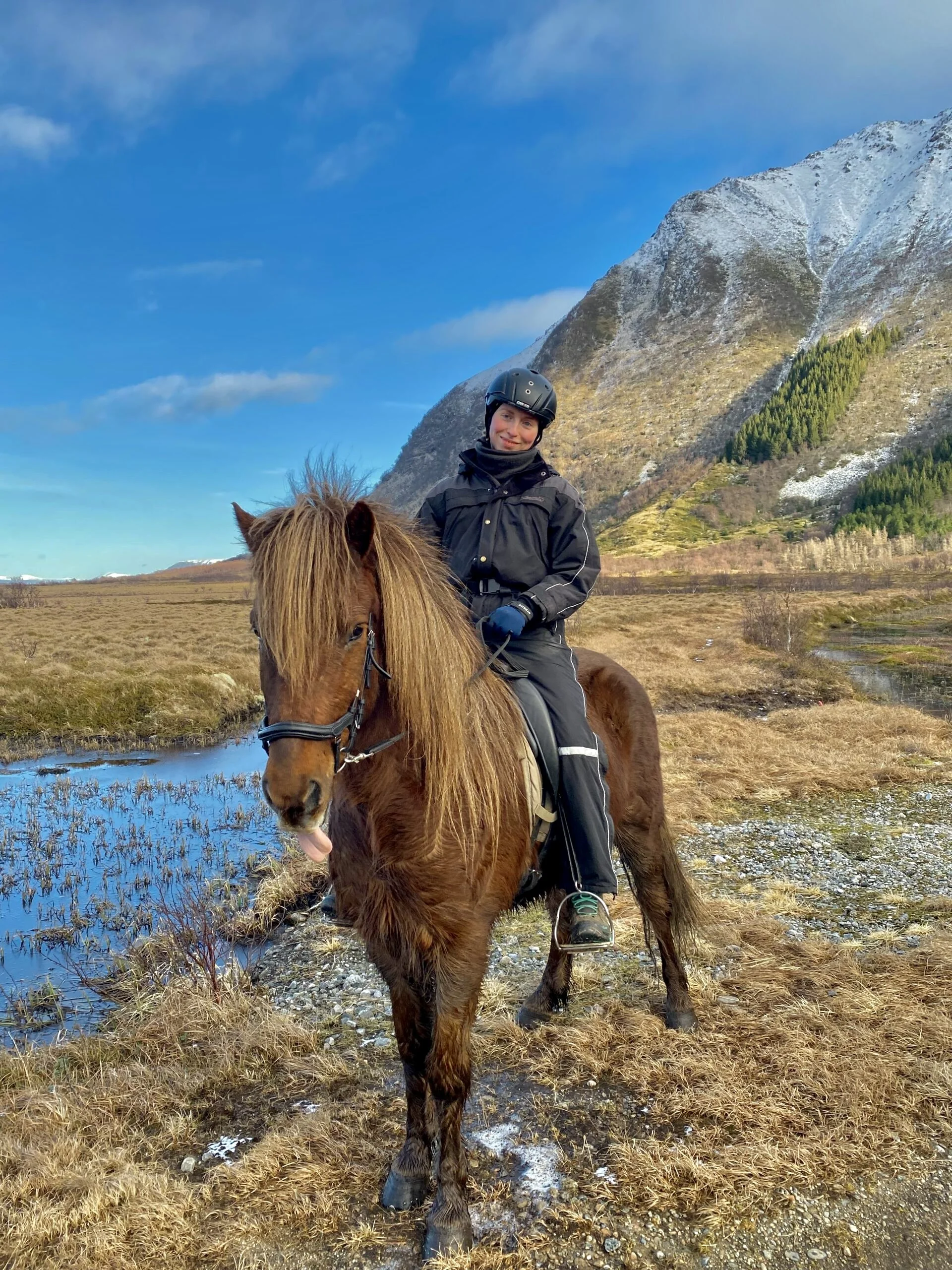 DAY 3- mountains of lofoten.jpg