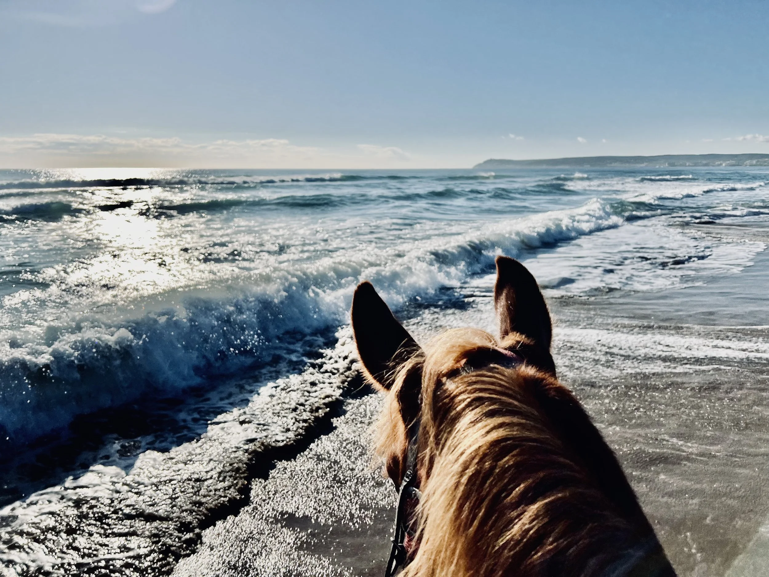 Mediterranean Trail horse riding 9.jpg