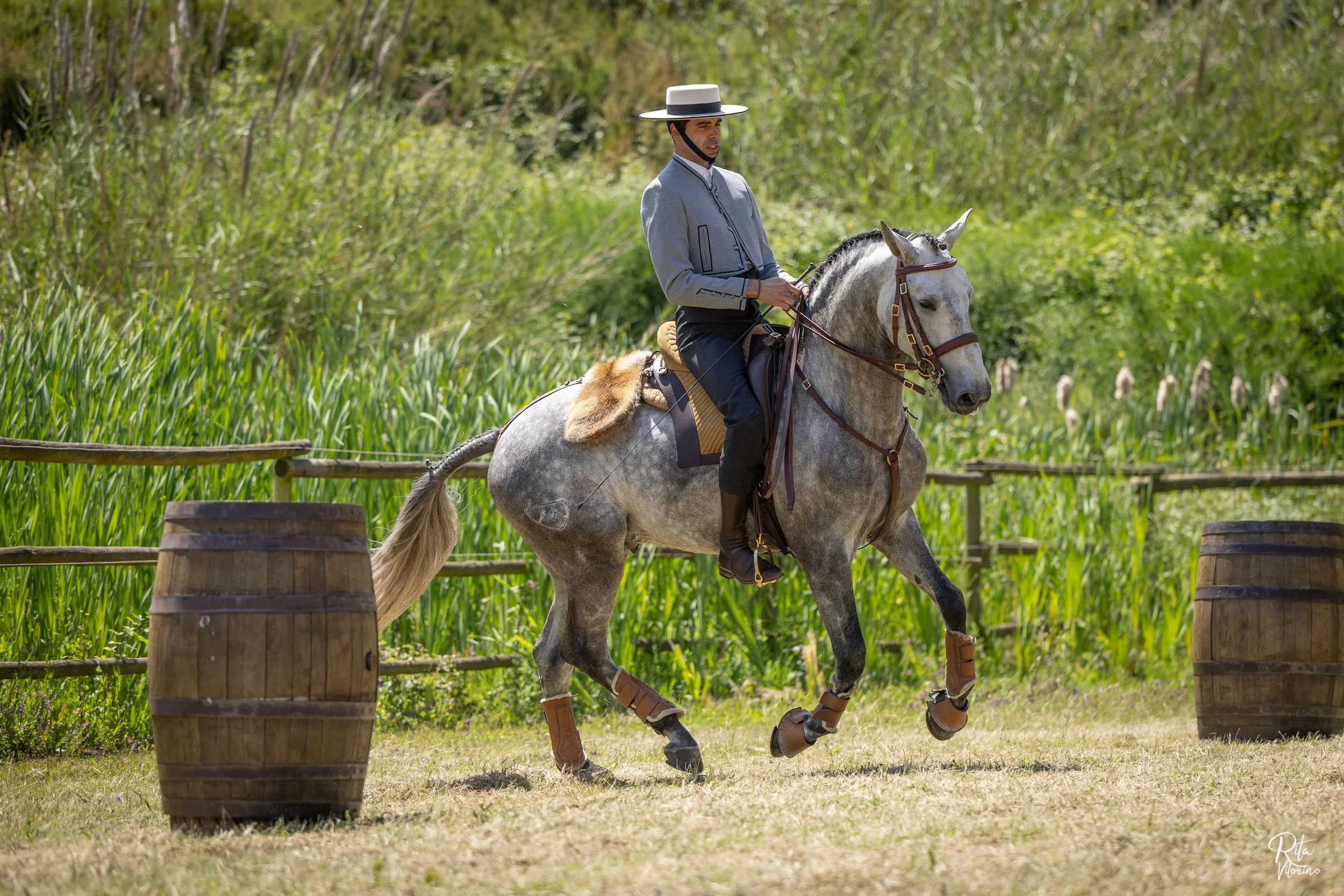 luxury dressage quinta portugal44.JPG