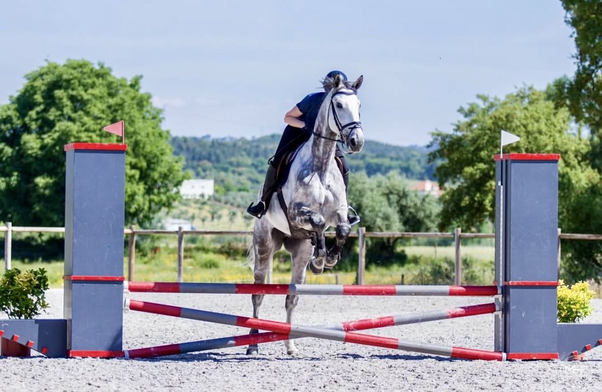 Jumping lessons in Portugal.jpg