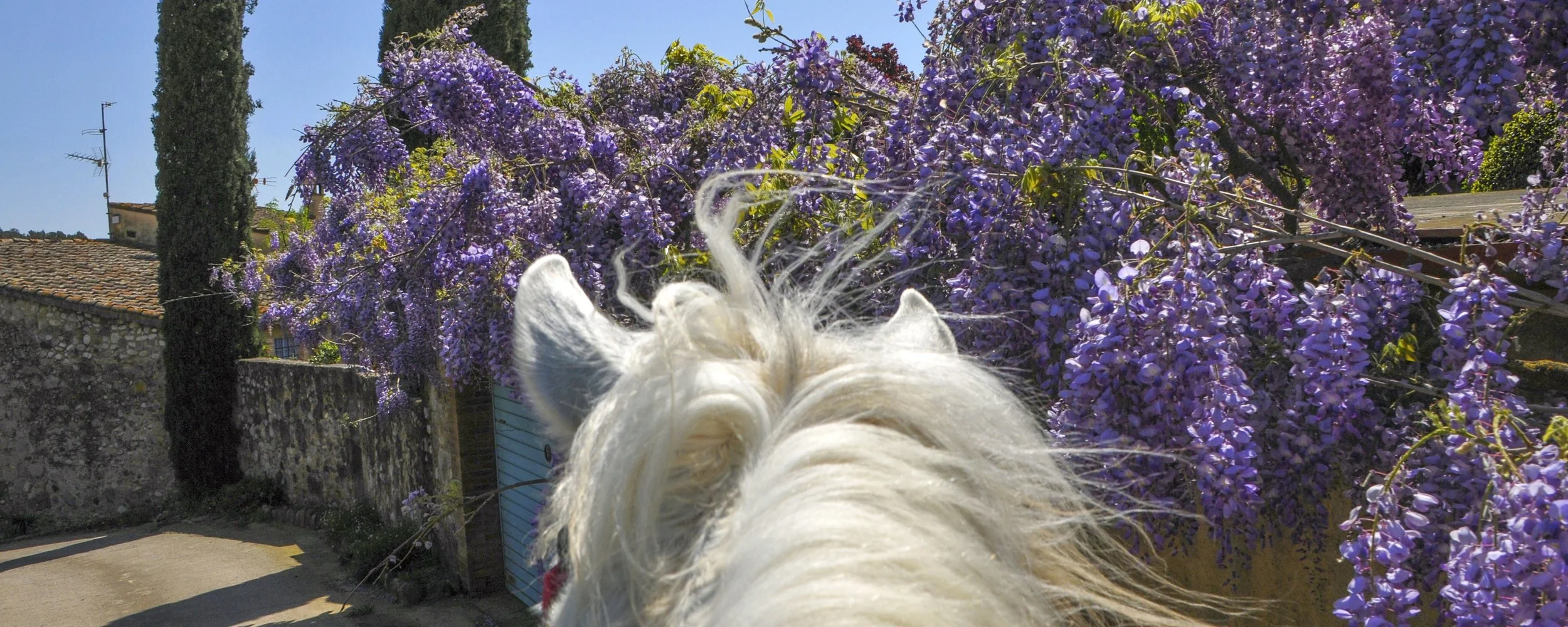 Riding holidays Spain Catalonia Horizon Trail5.jpg