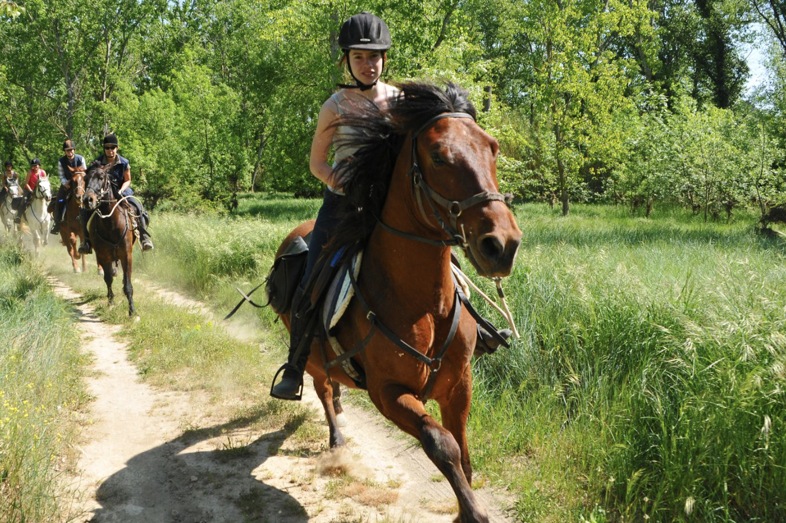Mediterranean Trail horses2.png