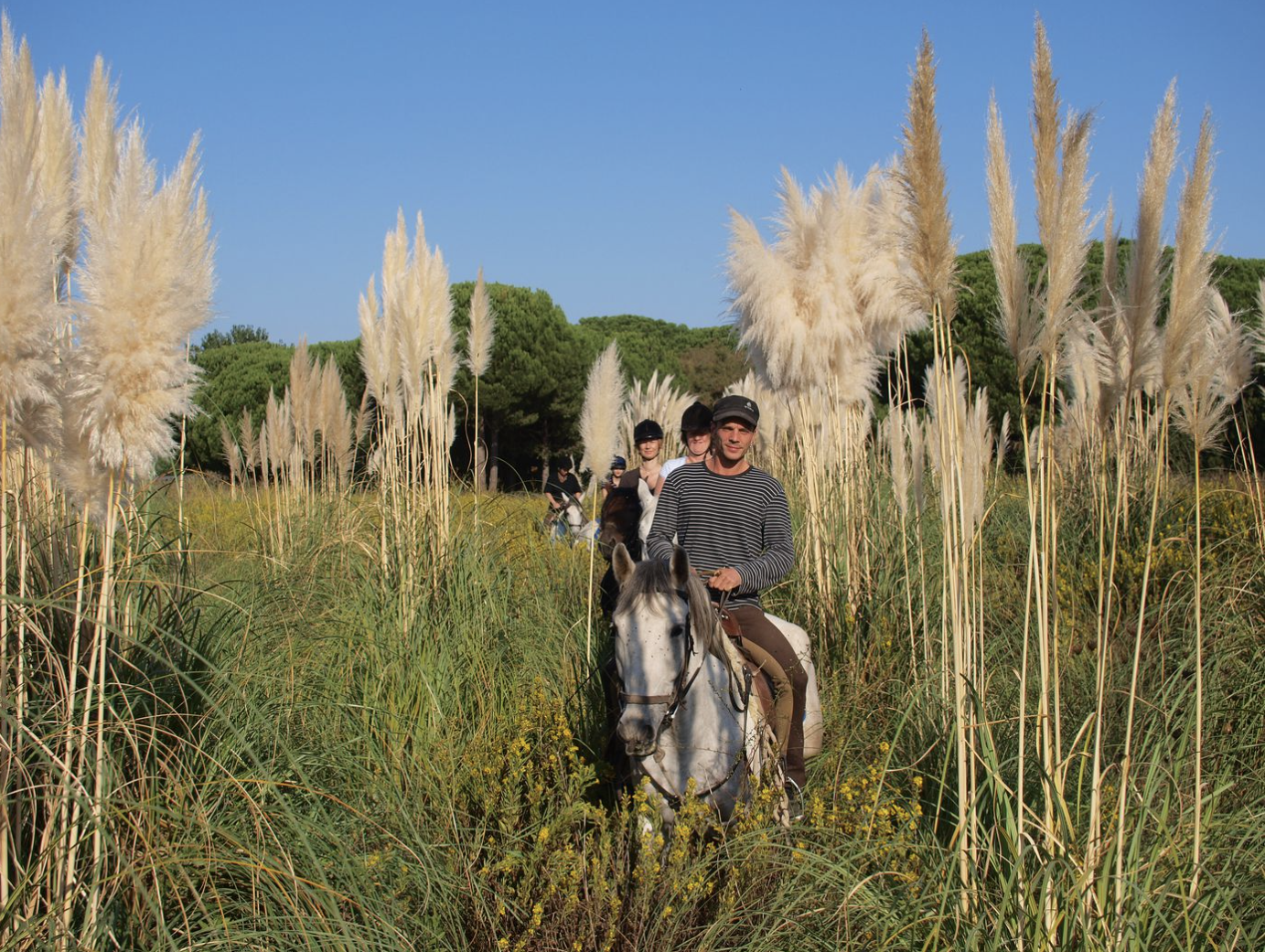 Mediterranean Trail horses4.png