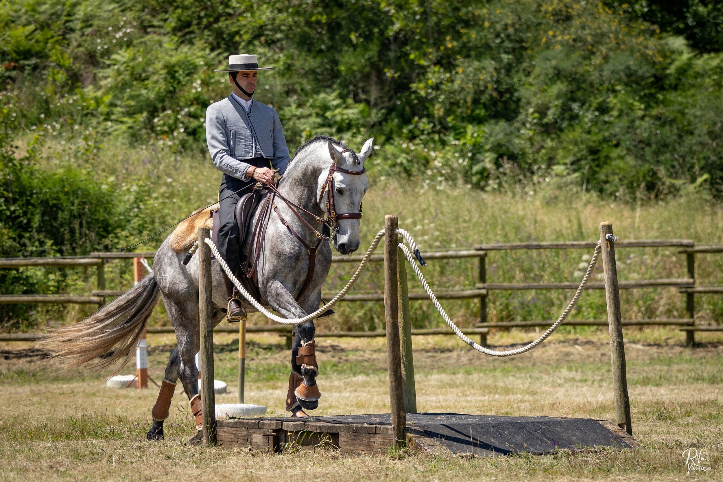 luxury dressage quinta portugal45.JPG