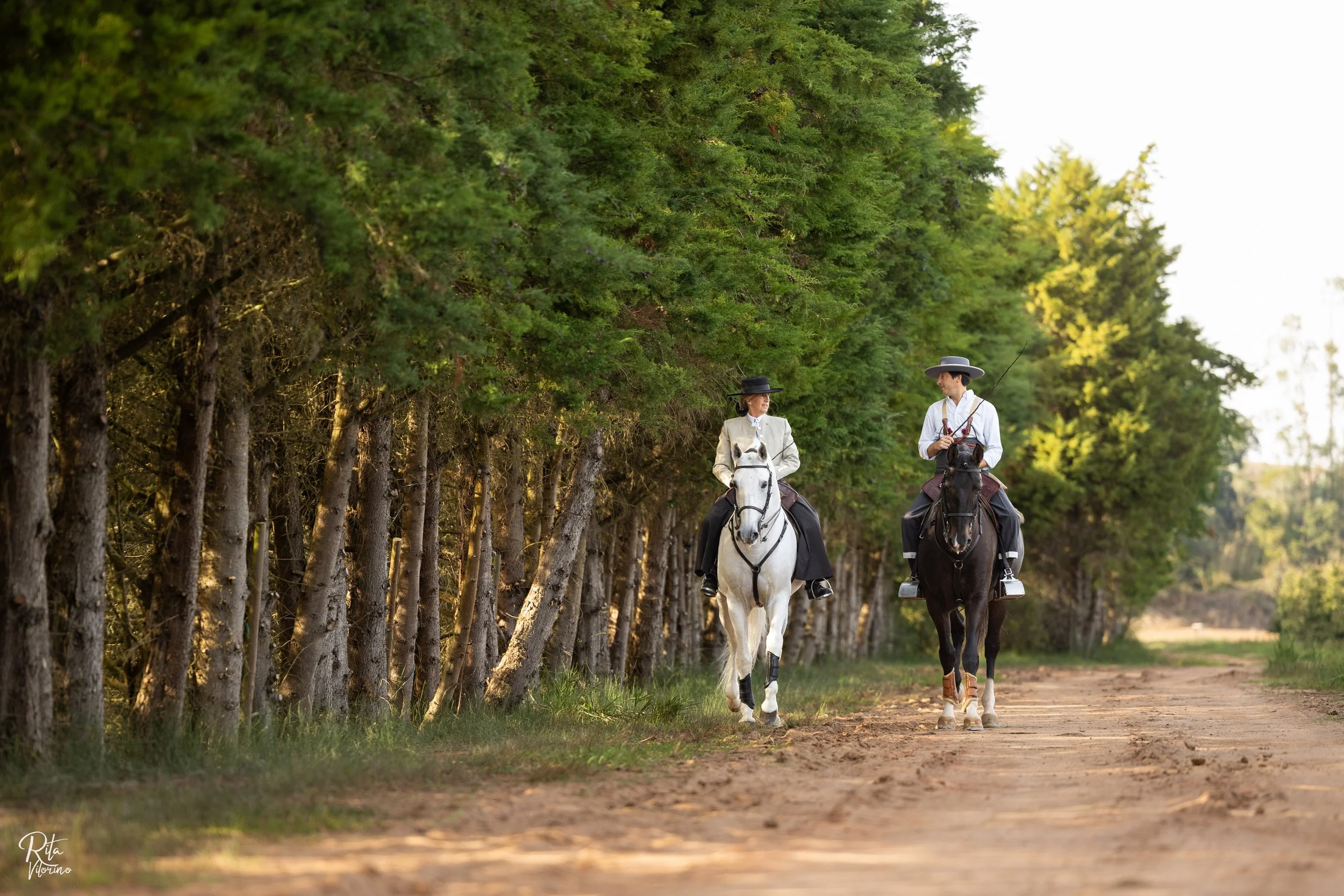 luxury dressage quinta portugal48.JPG