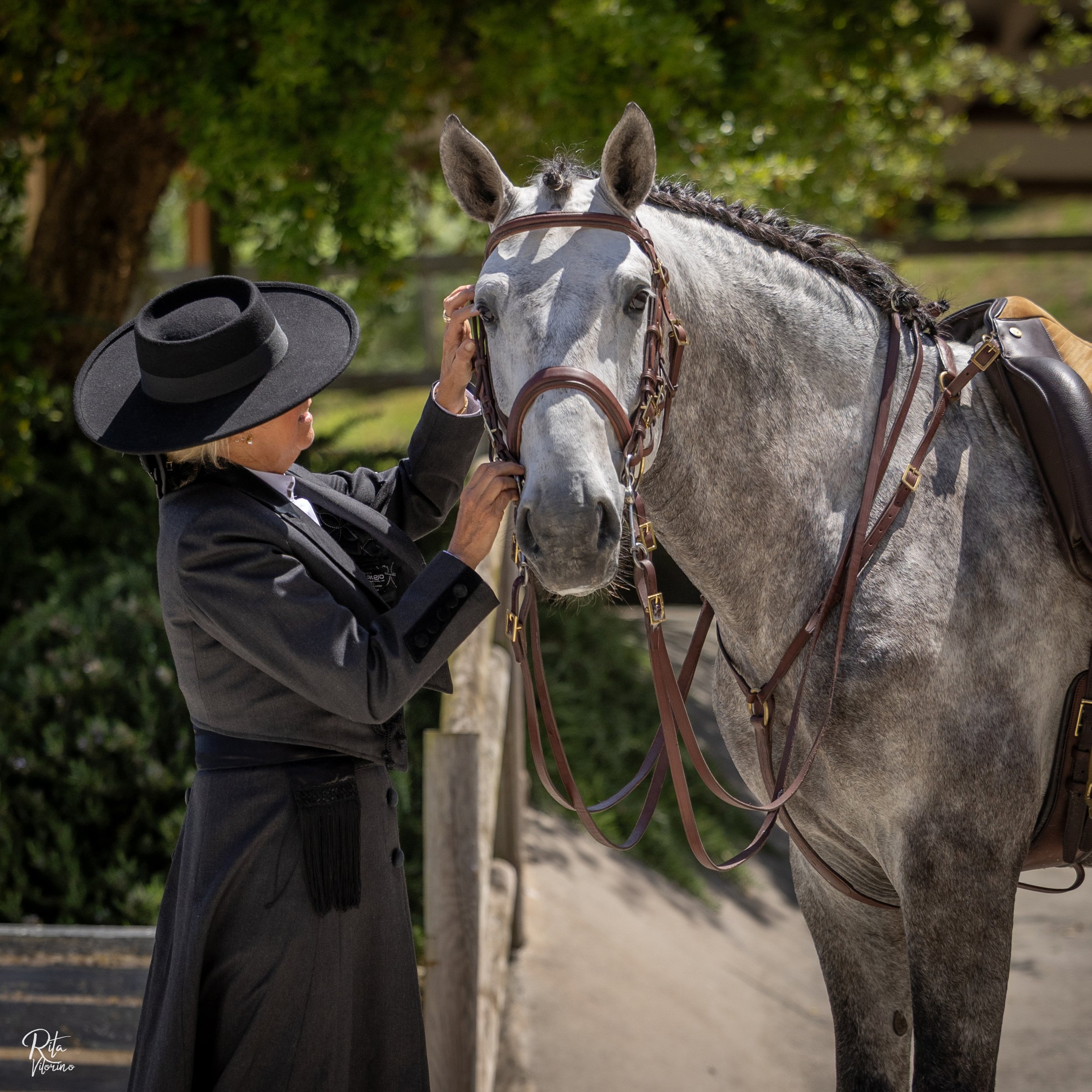 luxury dressage quinta portugal40.JPG