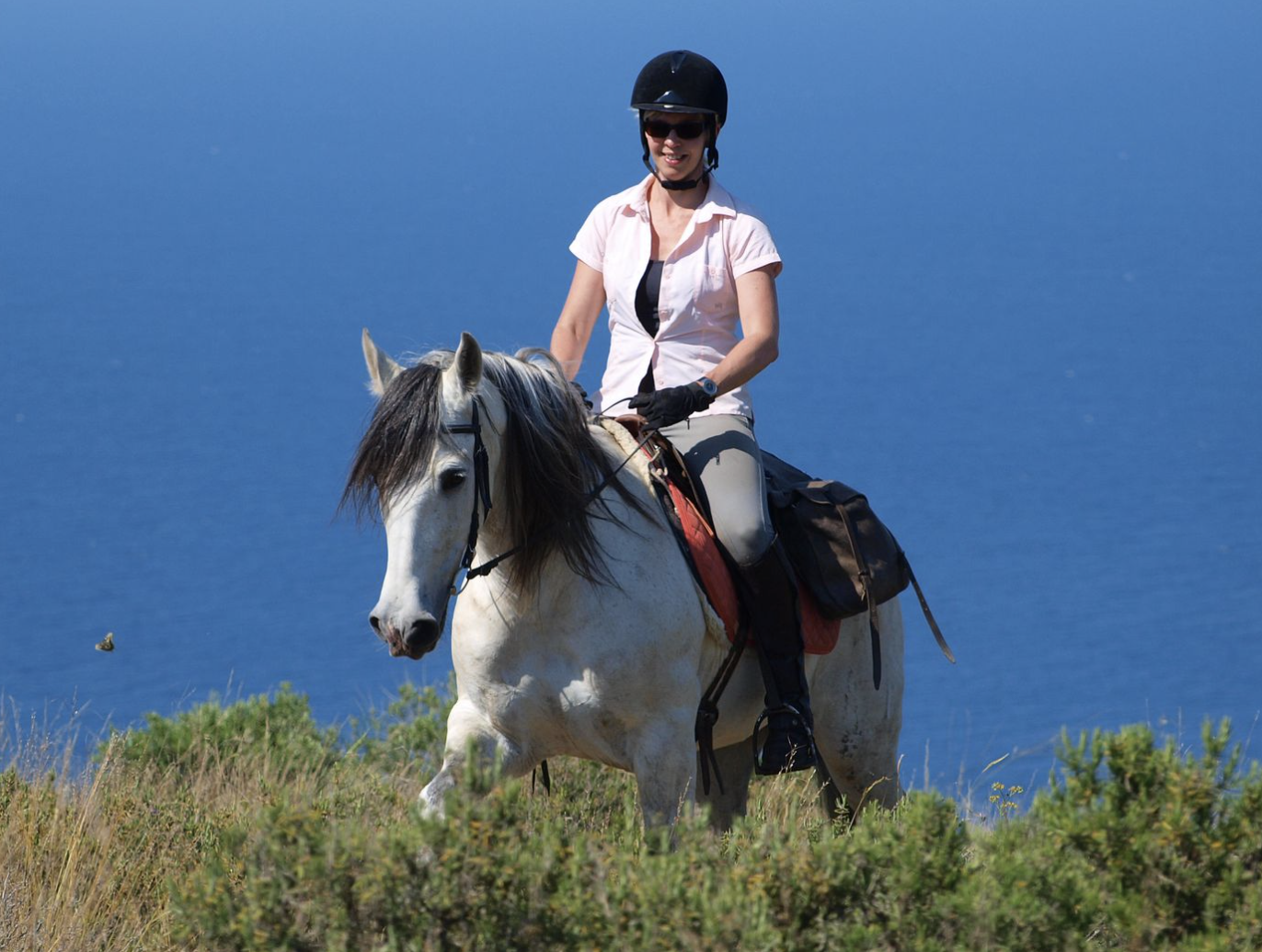 Mediterranean Trail horse.png