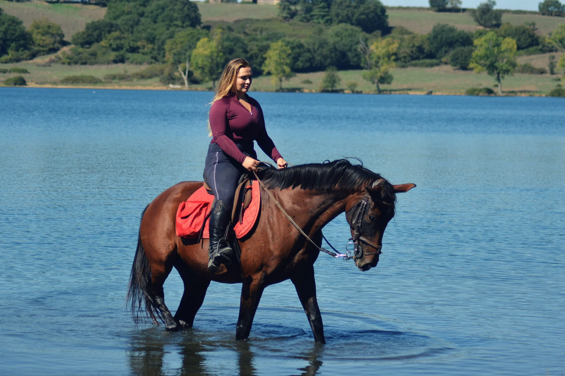 Italy castle estate ride World on Horseback47.JPG