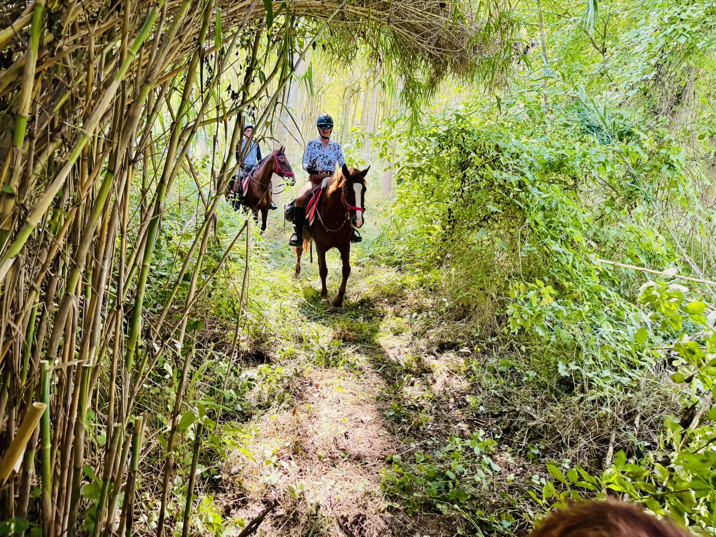 Horizon Trail Catalonia World on Horseback8.JPG