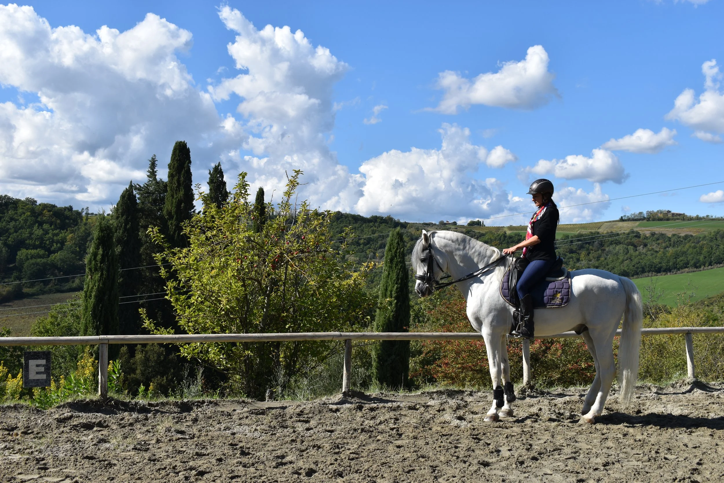 Dressage horse riding holidays italy.JPG