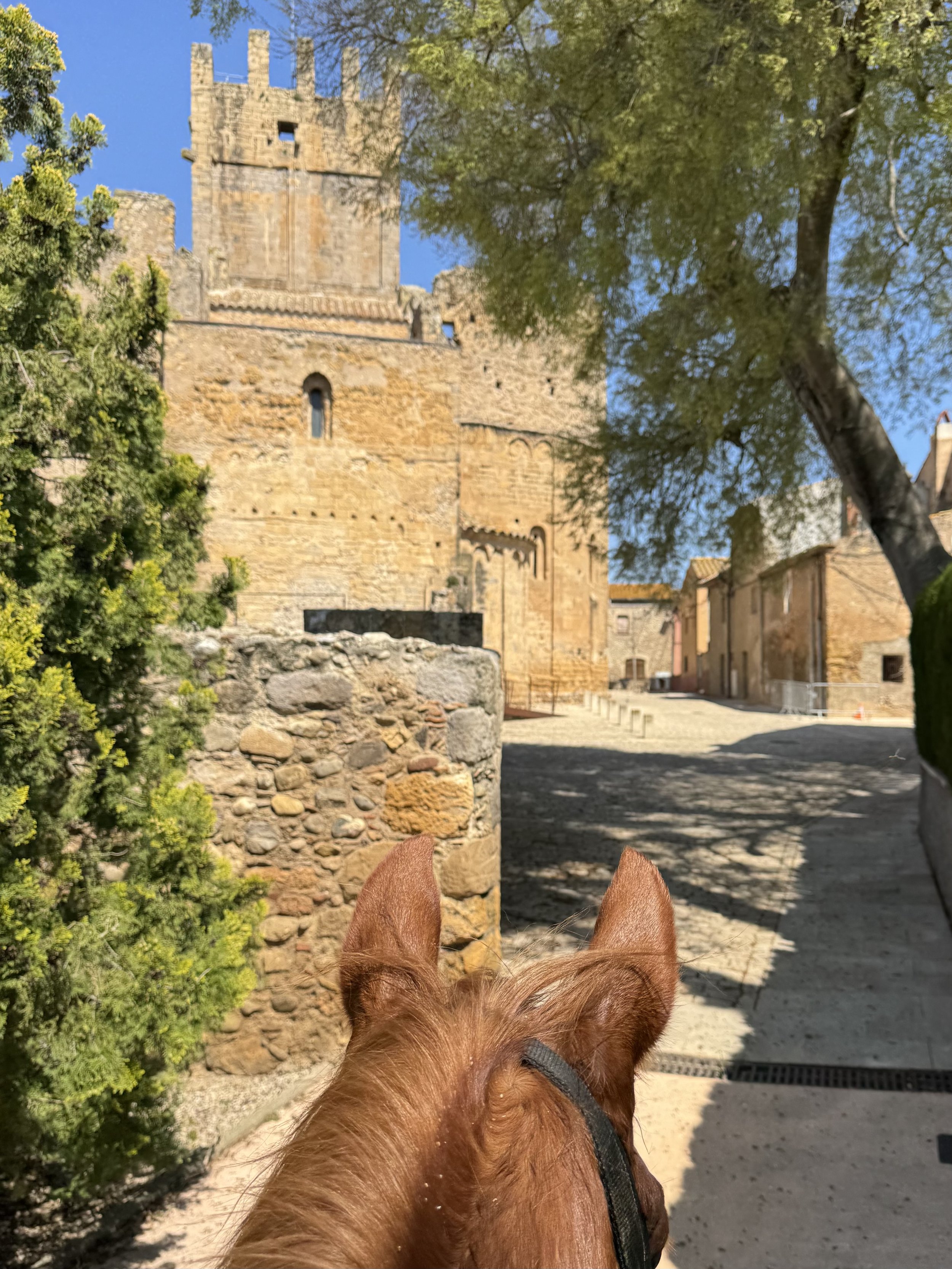 Horizon Trail Catalonia World on Horseback3.JPG