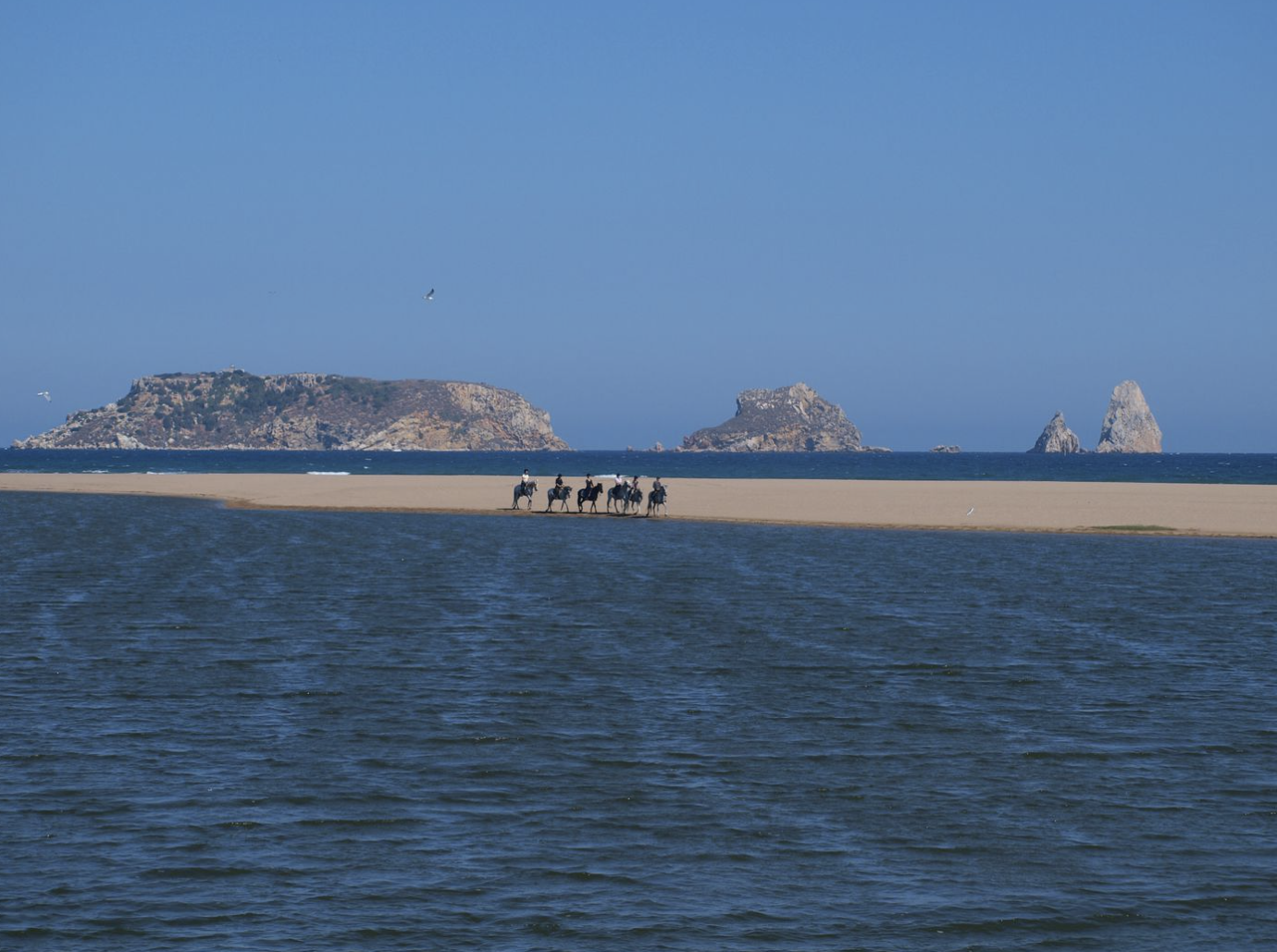 Mediterranean Trail2.png