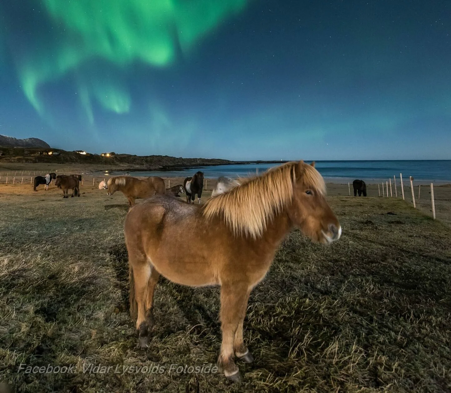 DAY 5- Snowfun and northern lights.jpg