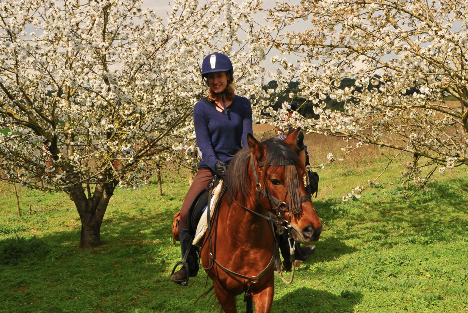 Mediterranean Trail horses5.png