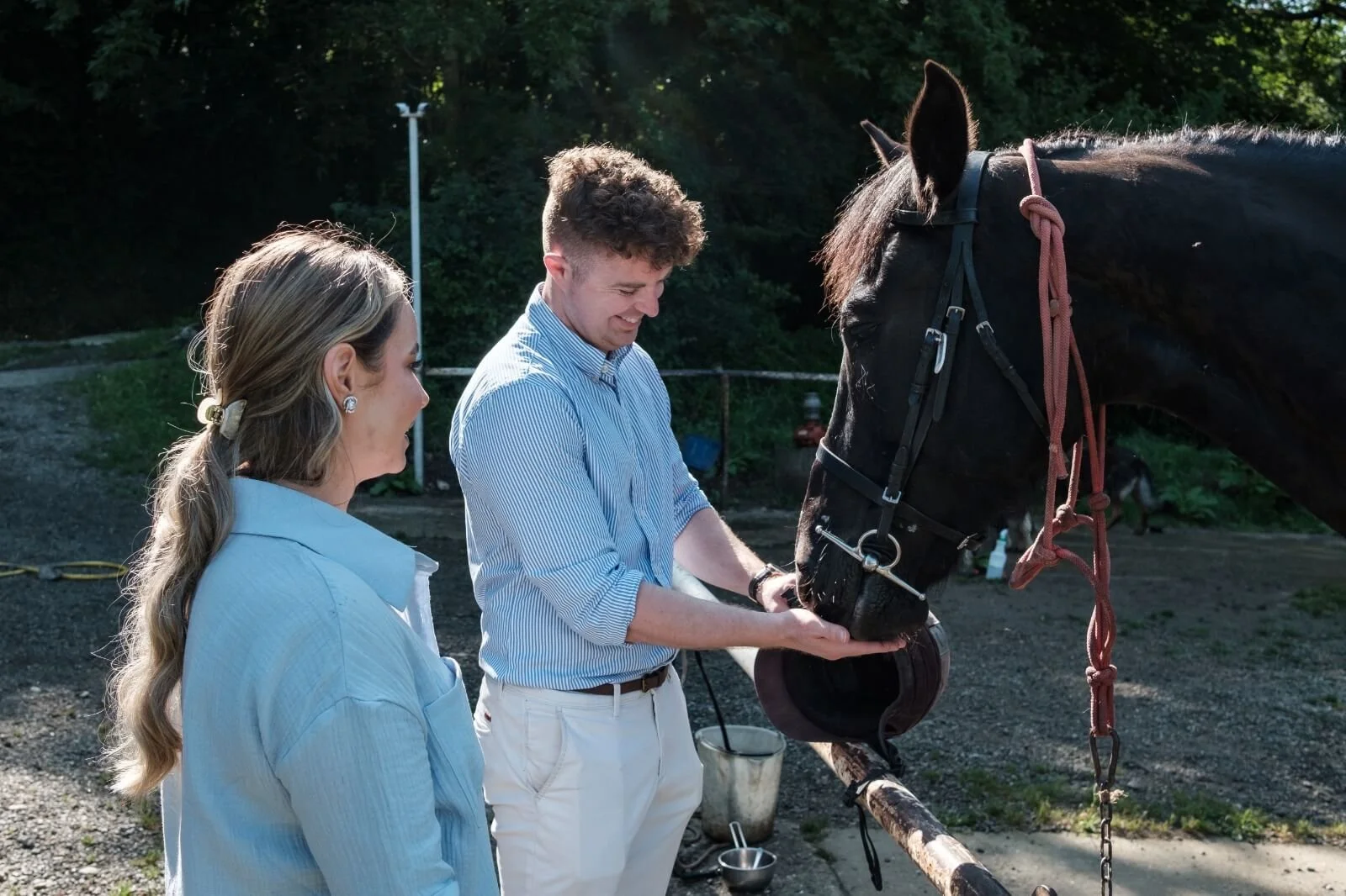 Two people giving treat to a black horse at an equestrian resort in Italy.