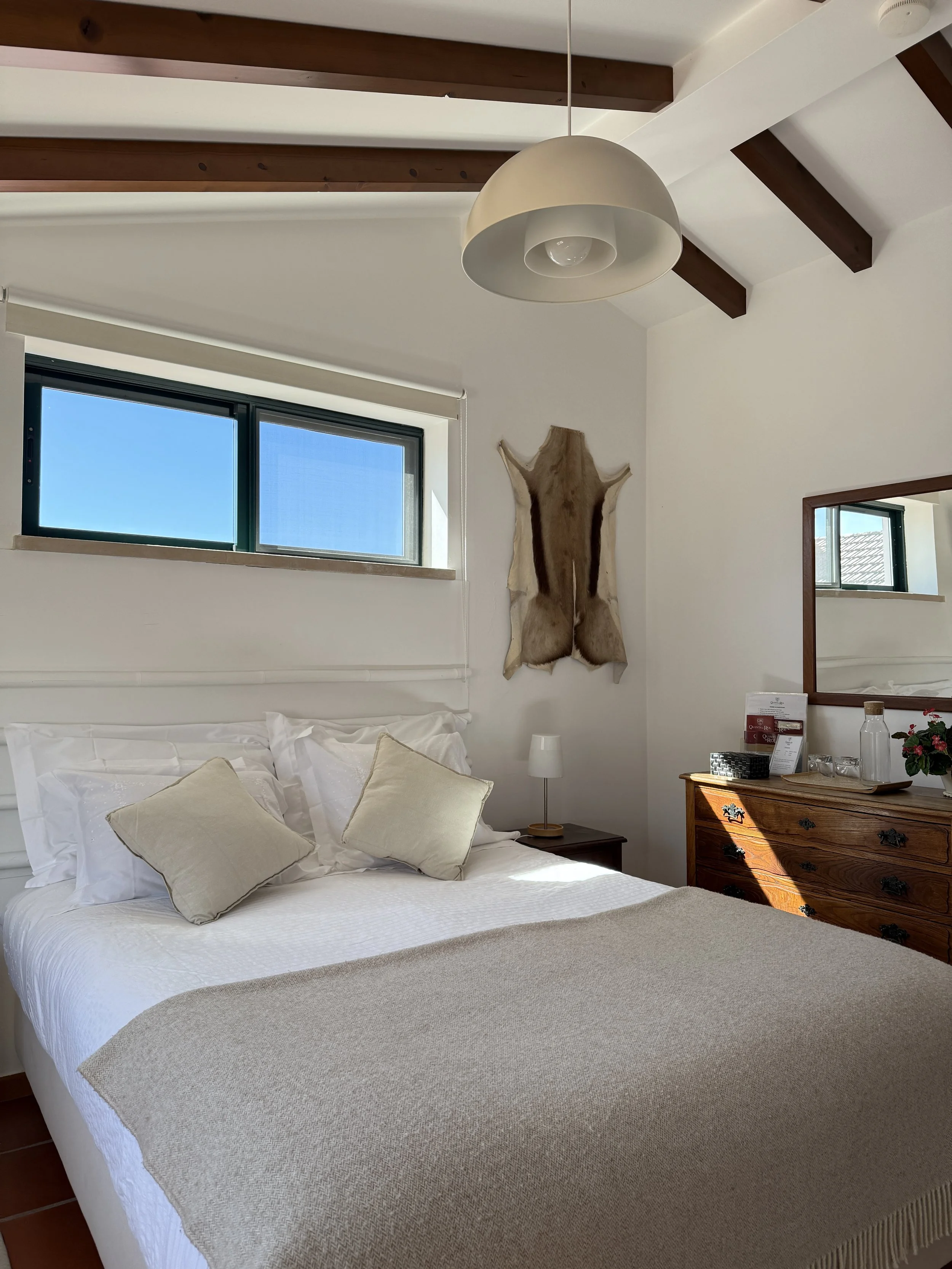 luxury dressage quinta portugal13.JPG