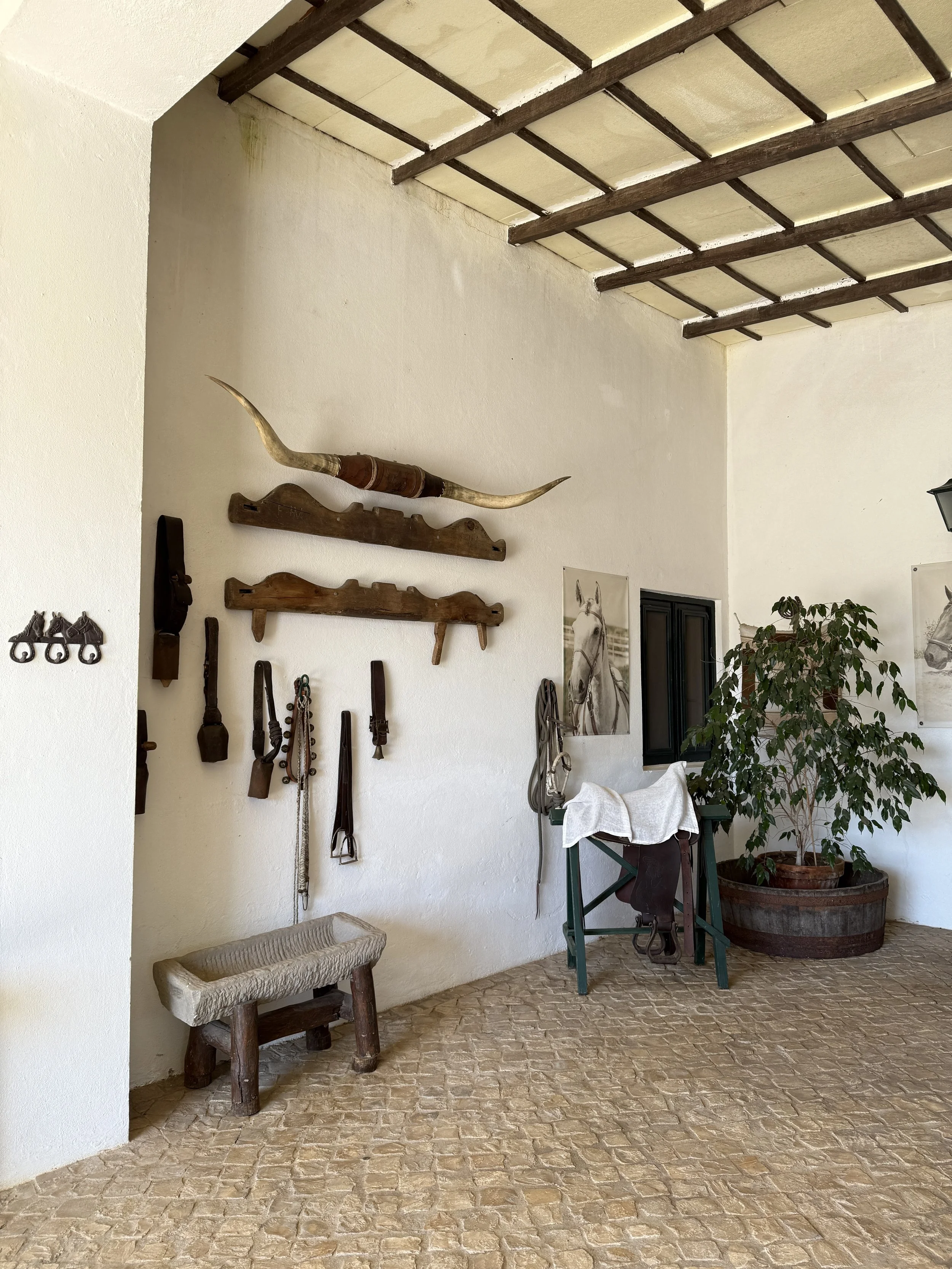 luxury dressage quinta portugal14.JPG