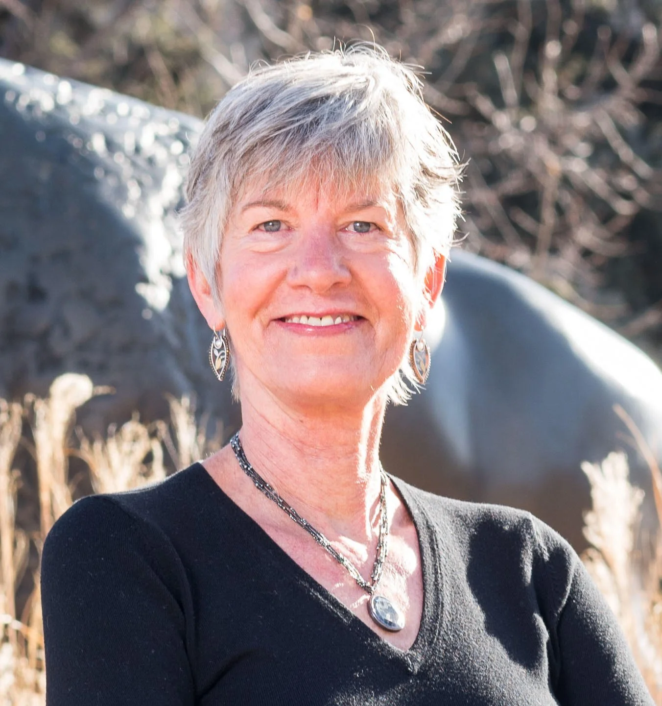 Rep. Lesley Smith