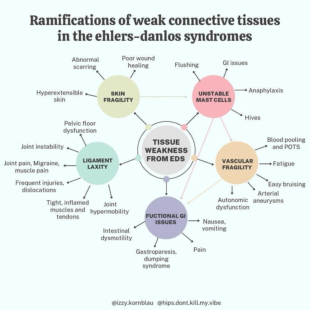 Day 2: What is EDS and HSD?

Broadly speaking, EDS/HSD are connective tissue disorders (CTD). Ok, so what&rsquo;s connective tissue? BASICALLY EVERYTHING.

Connective tissue is skin, ligaments, tendons, muscle, organs, and even bone. Literally everyt