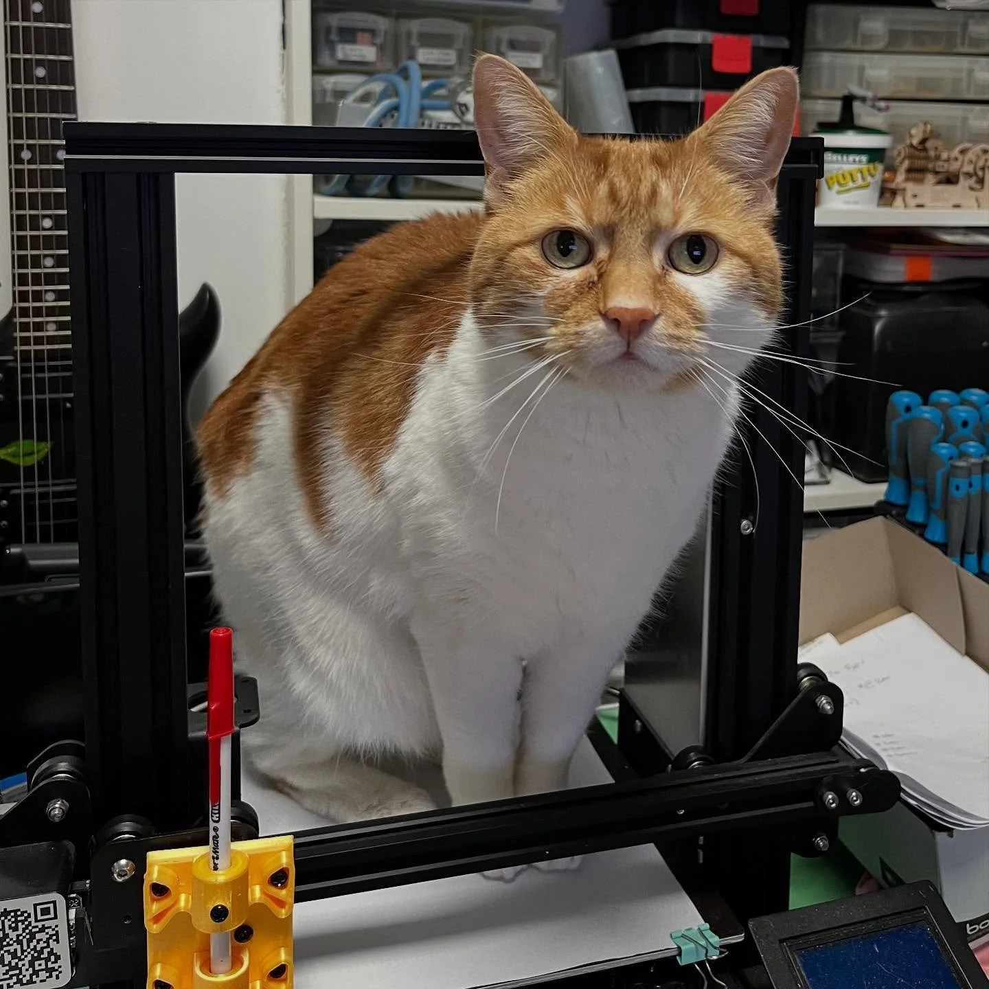 Man, the quality of 3D printing is bananas now 😜

Cats. In the way since forever ❤️

#3DPrinting #OrangeCats