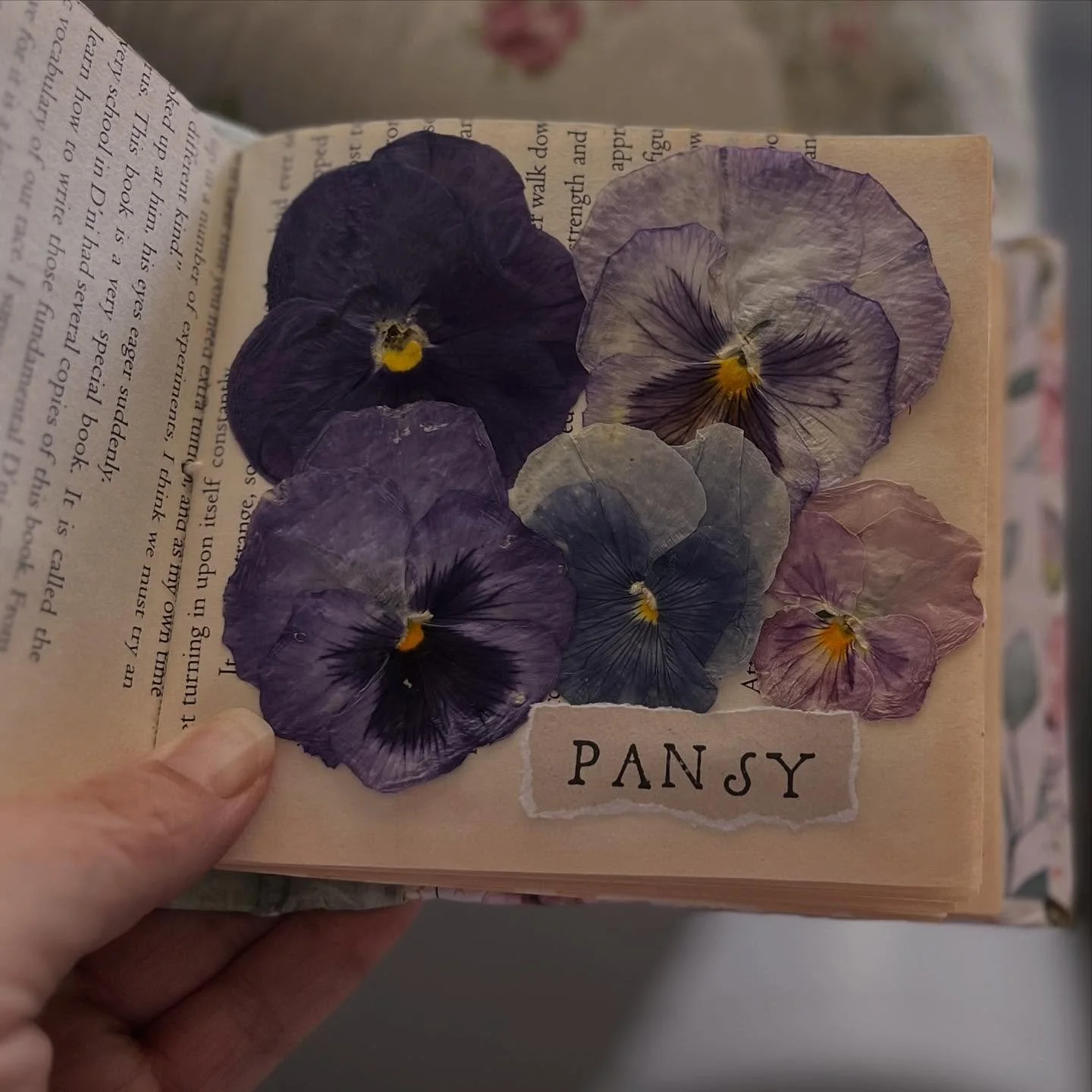 TW: Mental Health, chronic illness 

My mental health has been pretty much in the bin the last few days. I&rsquo;ve started a new medicine for another medical condition that gave me side effects, but is getting better, but it&rsquo;s really expensive