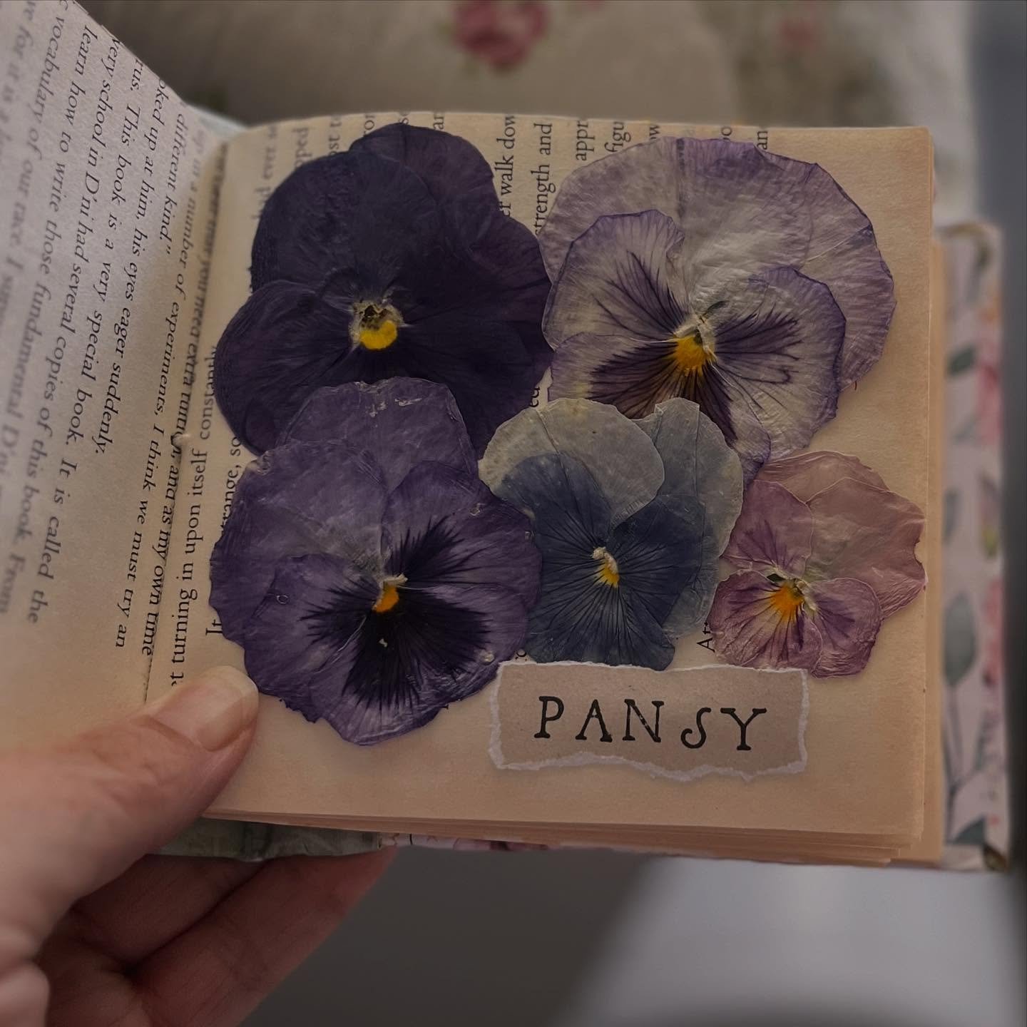 TW: Mental Health, chronic illness 

My mental health has been pretty much in the bin the last few days. I&rsquo;ve started a new medicine for another medical condition that gave me side effects, but is getting better, but it&rsquo;s really expensive