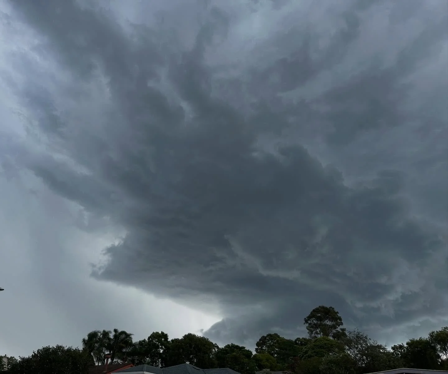 We had a heckin windy storm blow through yesterday. Thankfully the worst of the fray missed us, but it was crazy to see. I&rsquo;ve watch a LOT of storms, but never seen clouds swirling that rapidly 😳🌪️