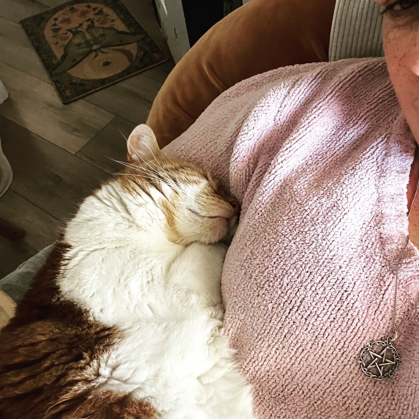 Chicken's onto something. Its that kind of day, just a bit too darn tired to do much of anything. Fatigue doesn't play.

#hEDS #AuDHD #Fatigue