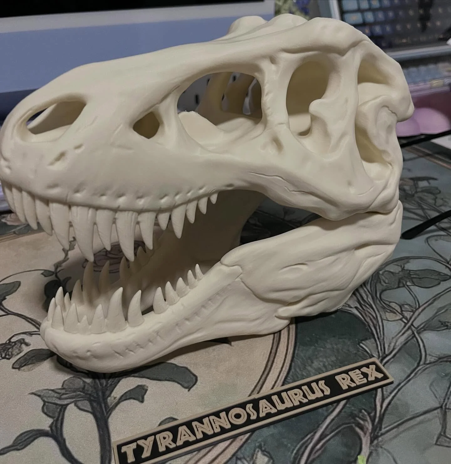 Hands down the best use of a 3D printer and free will yet 🦖

#Dinosaur #TRex #3DPrinting #LifeUhFindsAWay