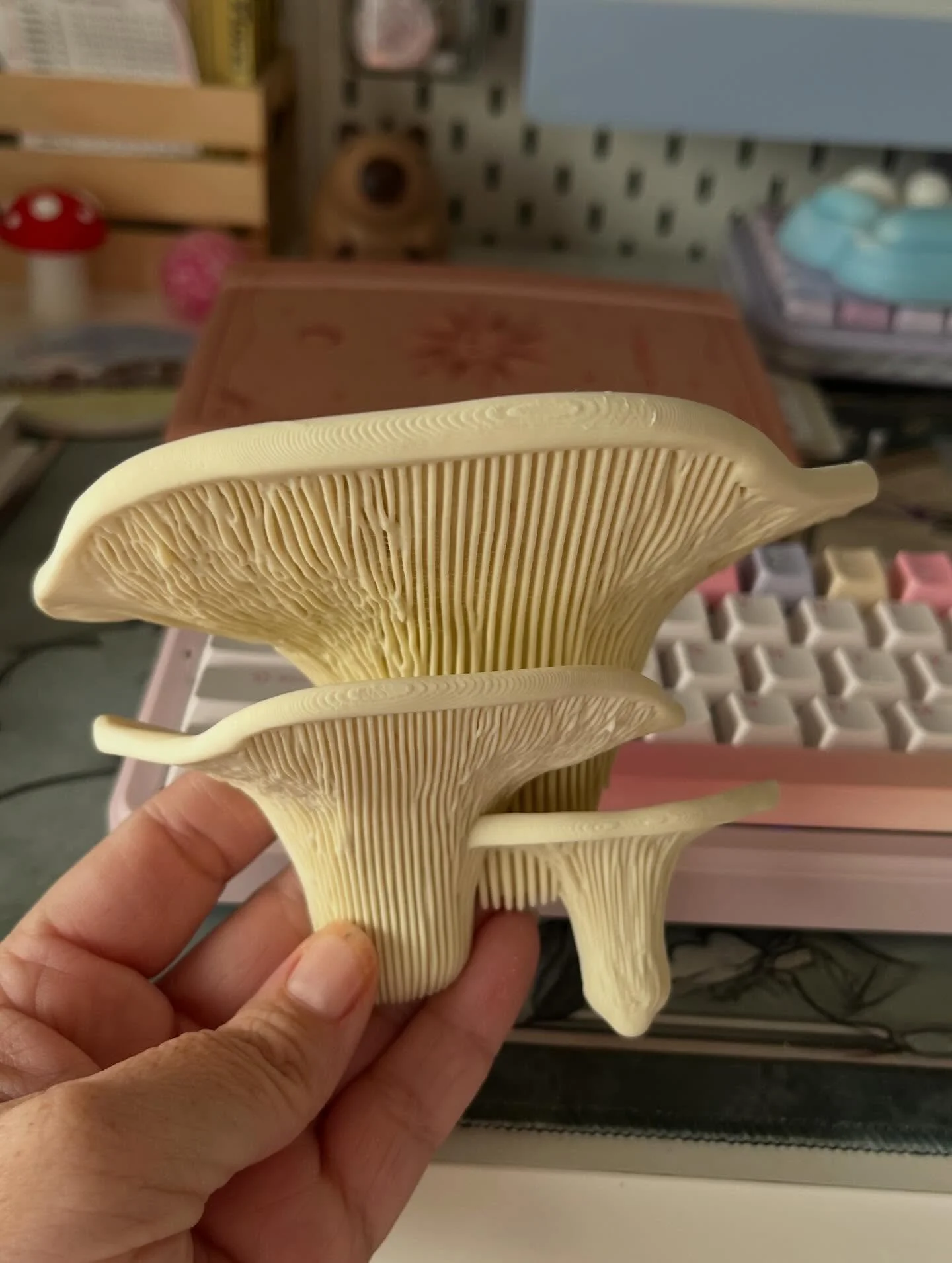 3D printed wall mounted mushrooms 🍄 🍄&zwj;🟫 Best husband ever 🙌🏻✨

#3DPrinting #Mushrooms #ICollectSporesMoldsAndFungus